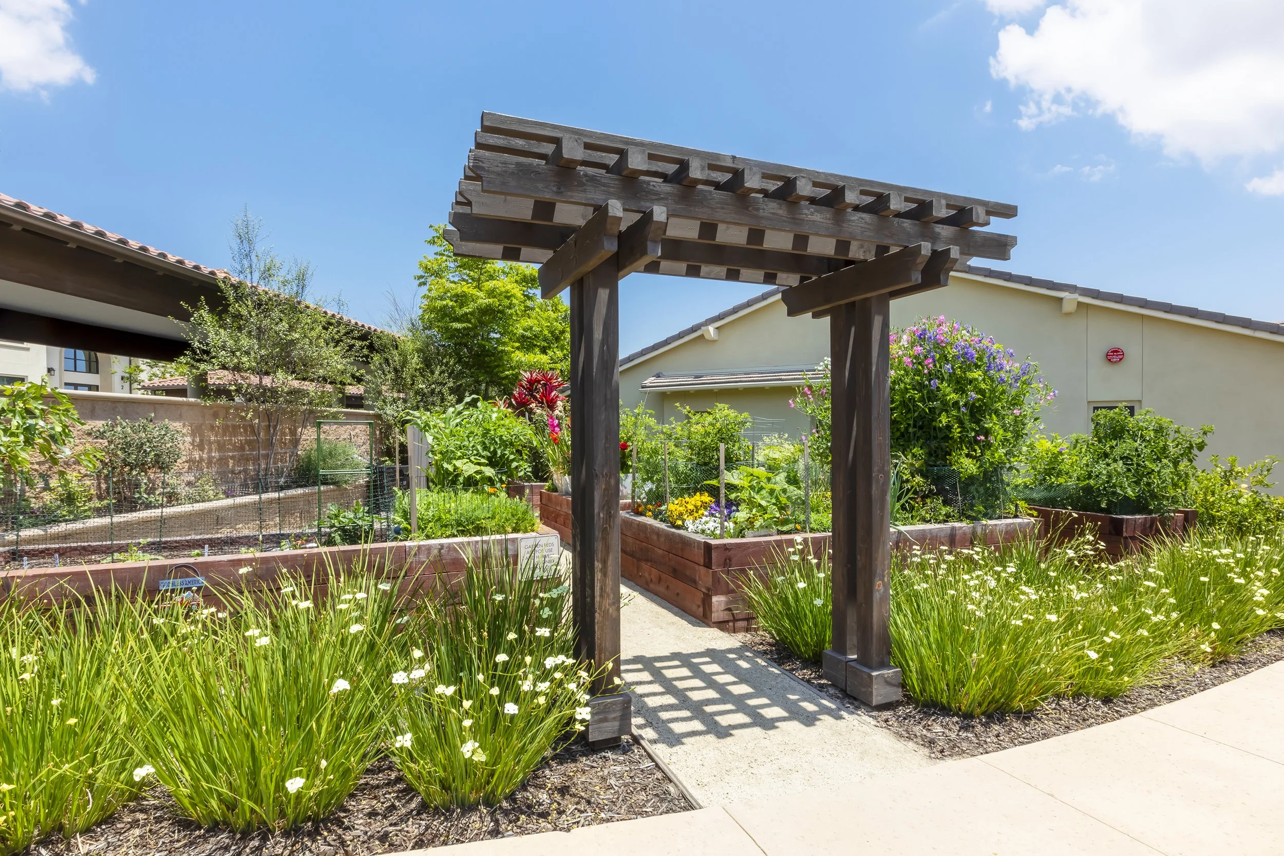 Community garden adjacent to residences provide a hands-on nature experience