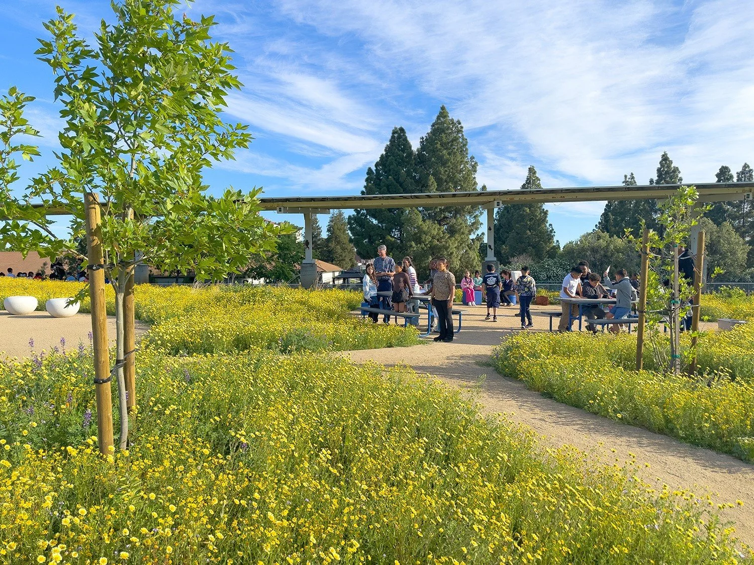 Outdoor classroom areas feature picnic tables, pebble seating, shade trees, and native planting, creating a climate-responsive space for instruction.