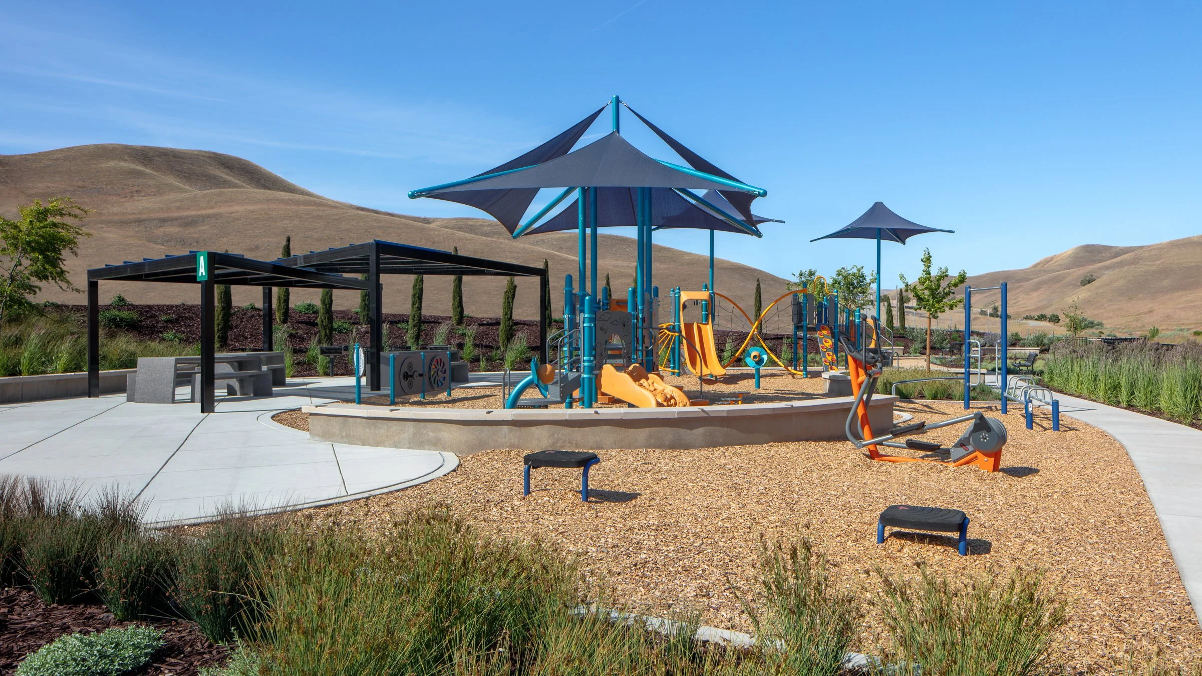 Playground colors echo the Pipevine Swallowtail butterfly