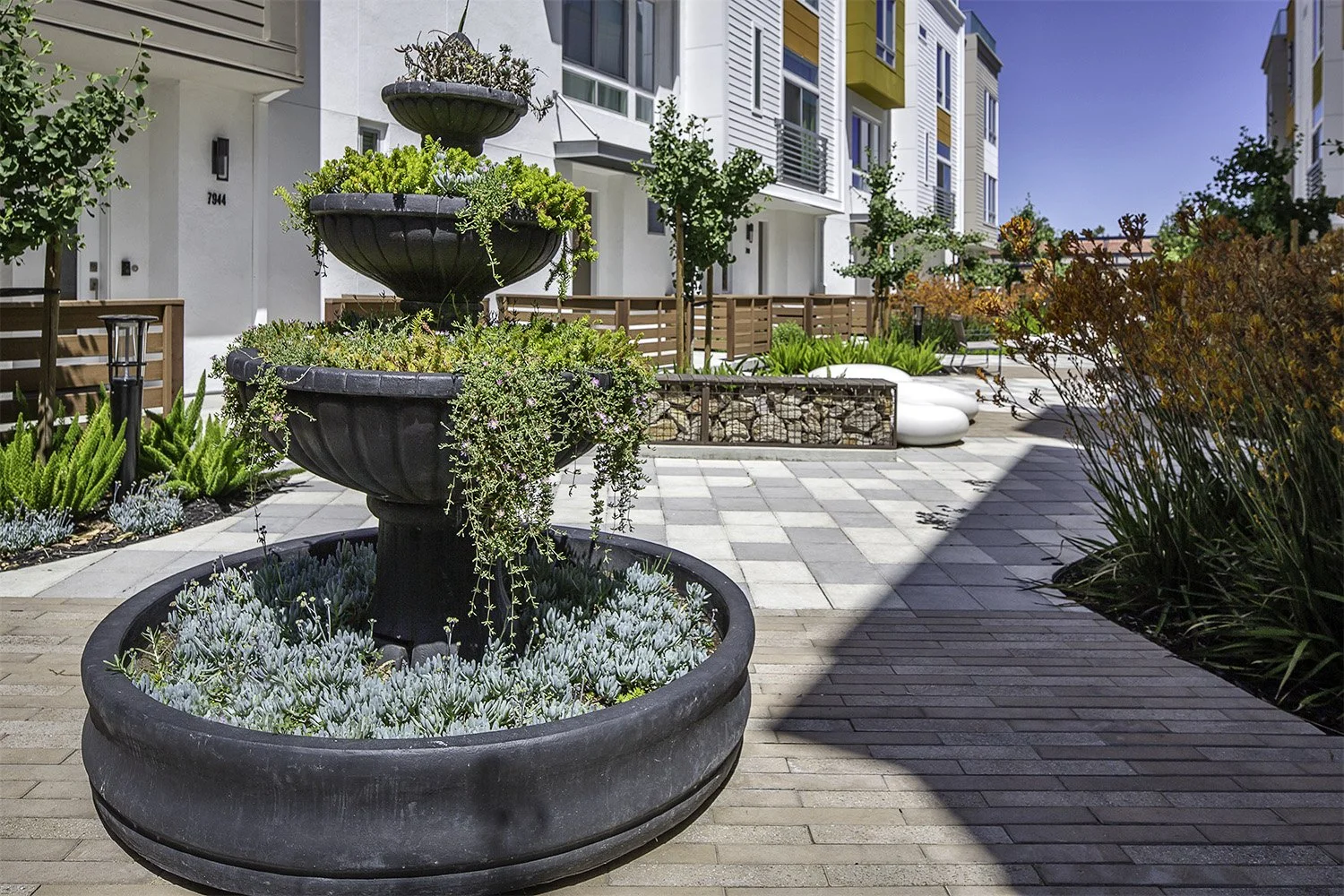 Lush drought-tolerant plants and fountain elements animate the central paseo, creating inviting communal spaces that balance vibrancy with everyday livability.