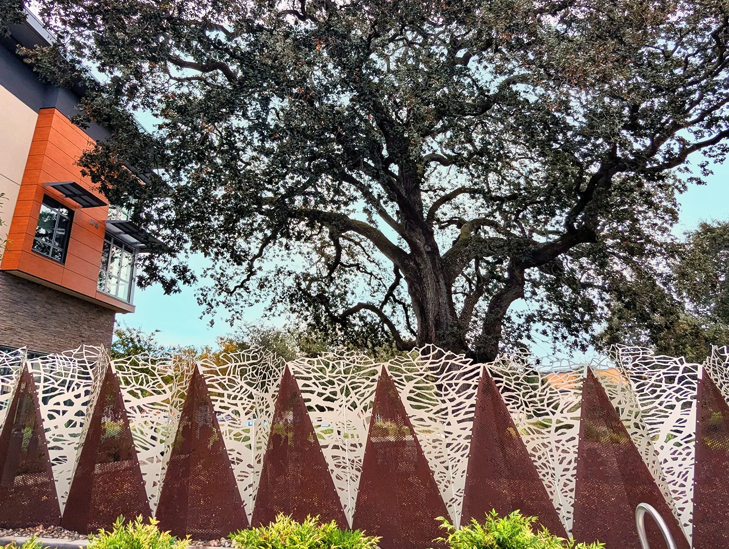 Decorative fencing quotes the shapes and textures of the adjacent oak tree and the distant peaks of Mount Diablo seen from the property.