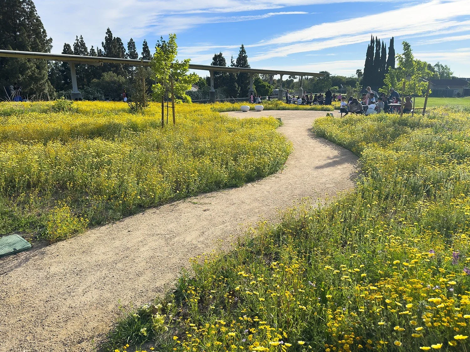 Curving pathways and pollinator-focused planting beds introduce texture and movement into formerly underutilized areas.