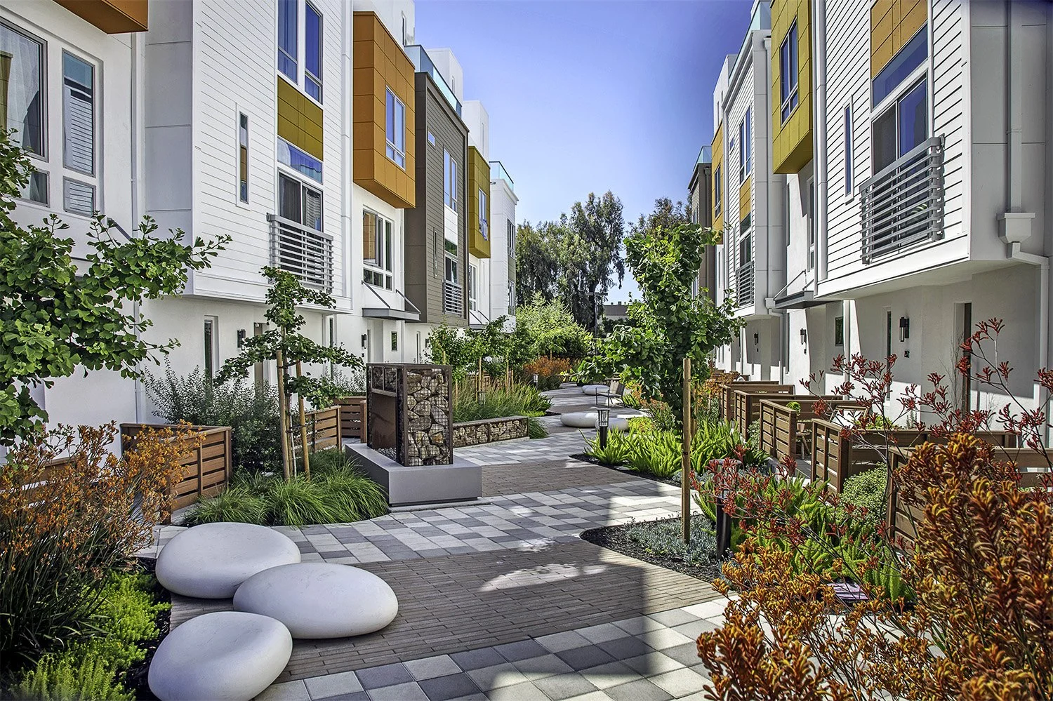 Layered planting, integrated seating, and rhythmic paving shape a pedestrian-focused paseo that encourages connection and walkability throughout the community.