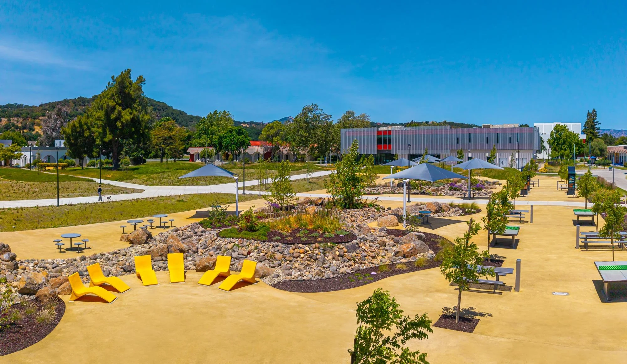 Curving landforms, native planting, and informal seating transform the campus quad into a flexible landscape shaped for gathering, studying, and everyday campus life.