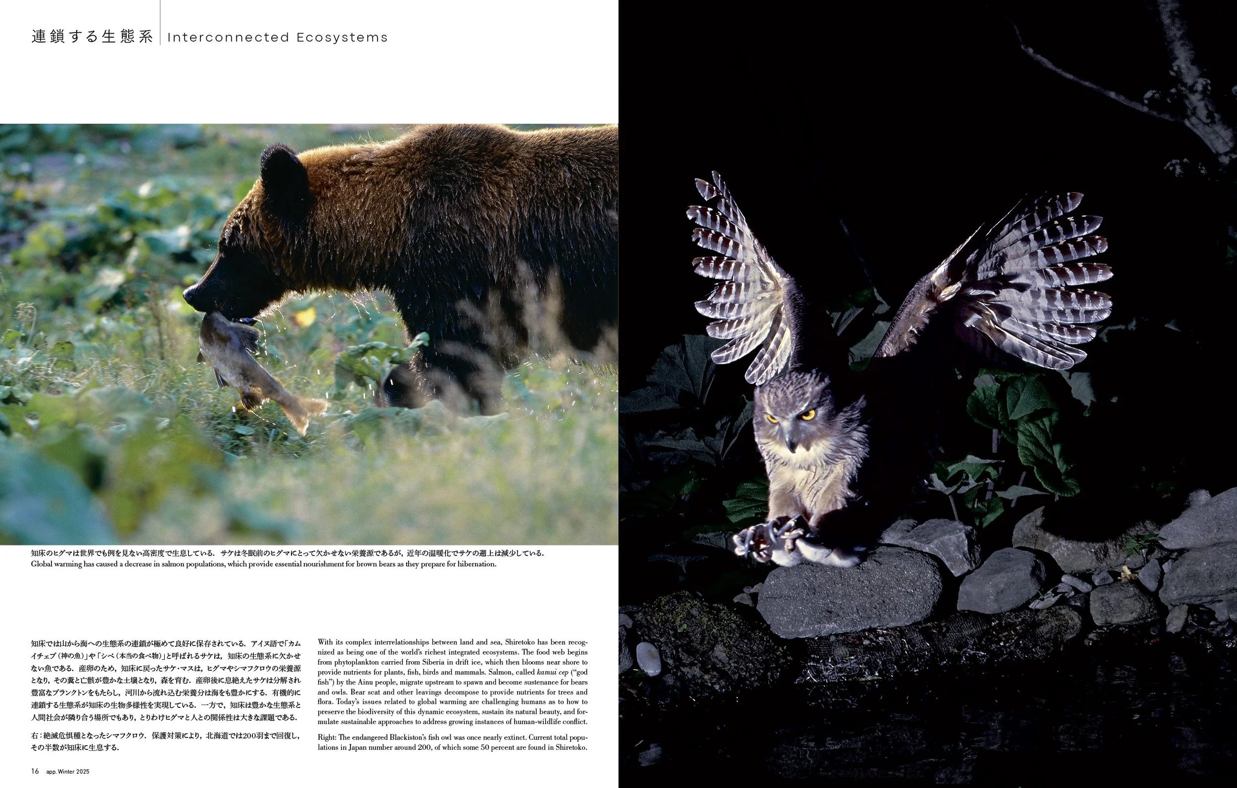 100+++A  33+osa 特集2025winter_J_1106++5.jpg