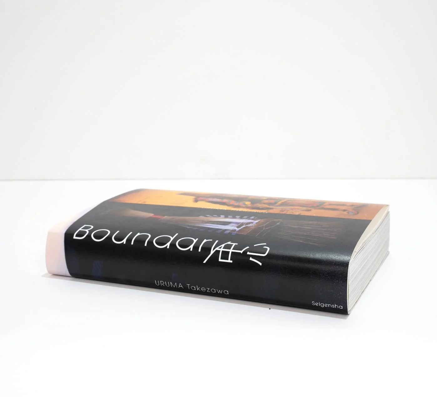 00　DSC01118 のコピー.jpg