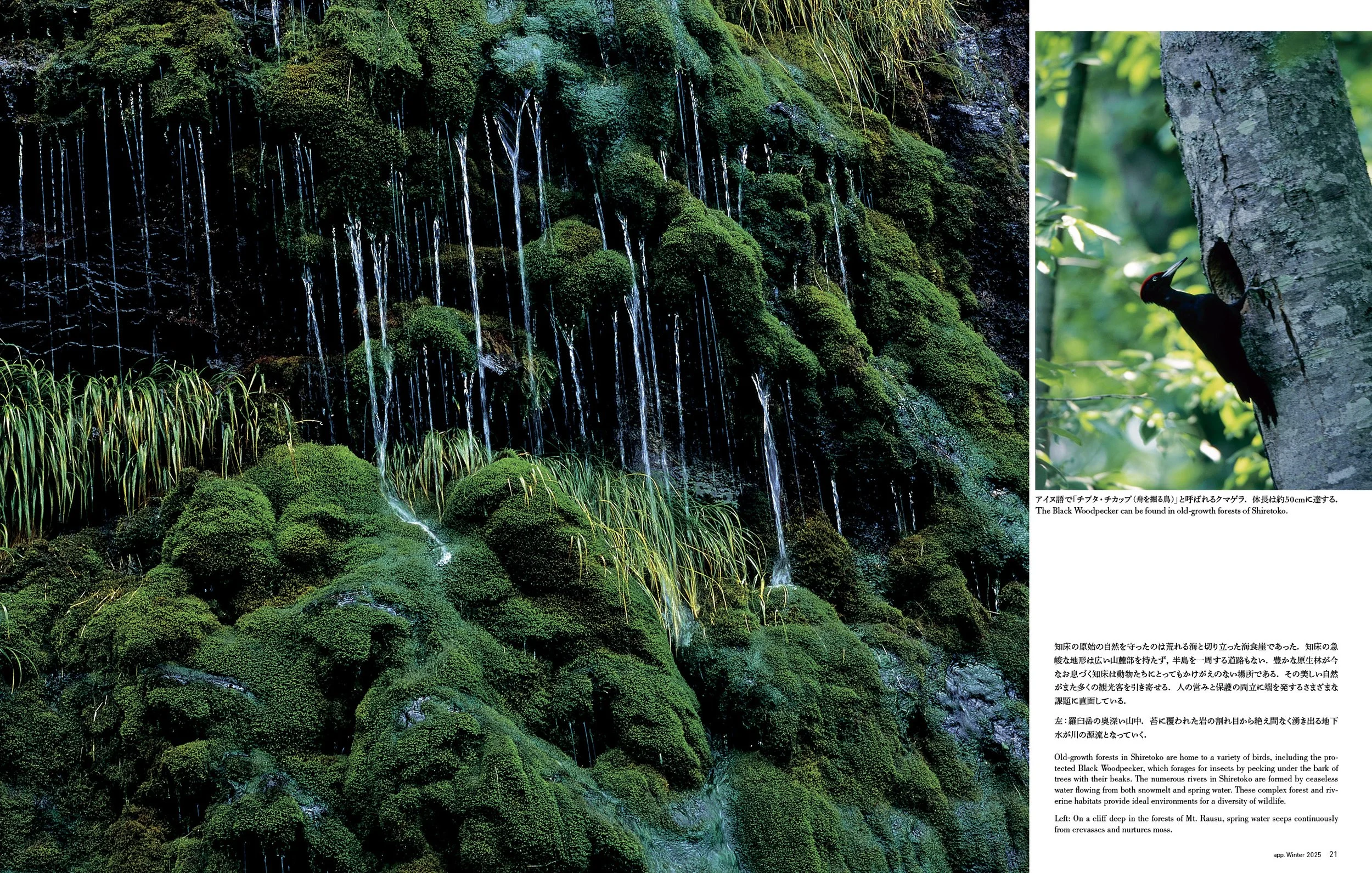 100+++A  33+osa 特集2025winter_J_1106++7.jpg