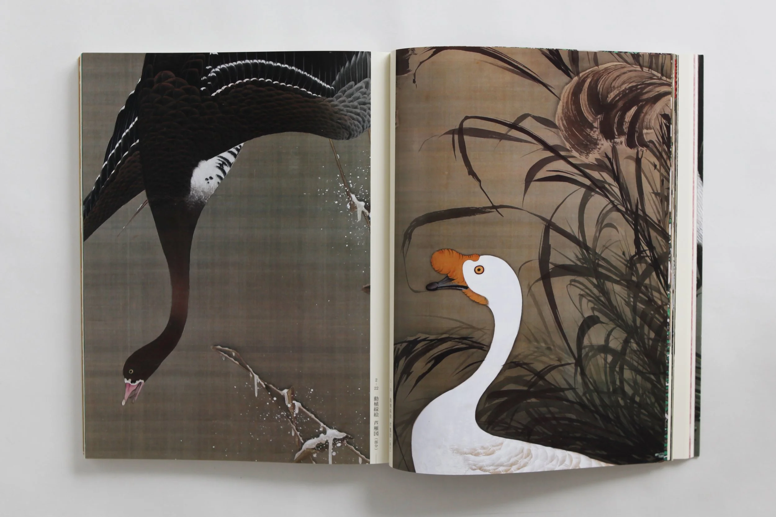 IMG_0043 のコピー.jpg