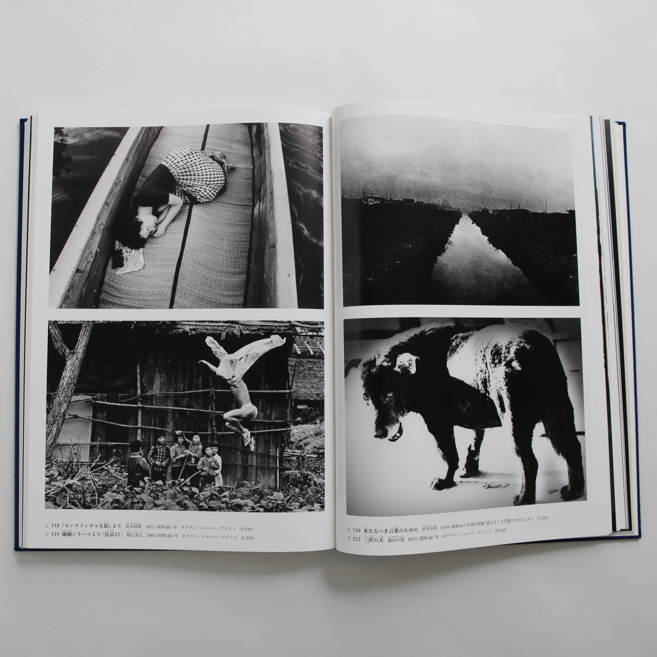 IMG_0387 のコピー.jpg