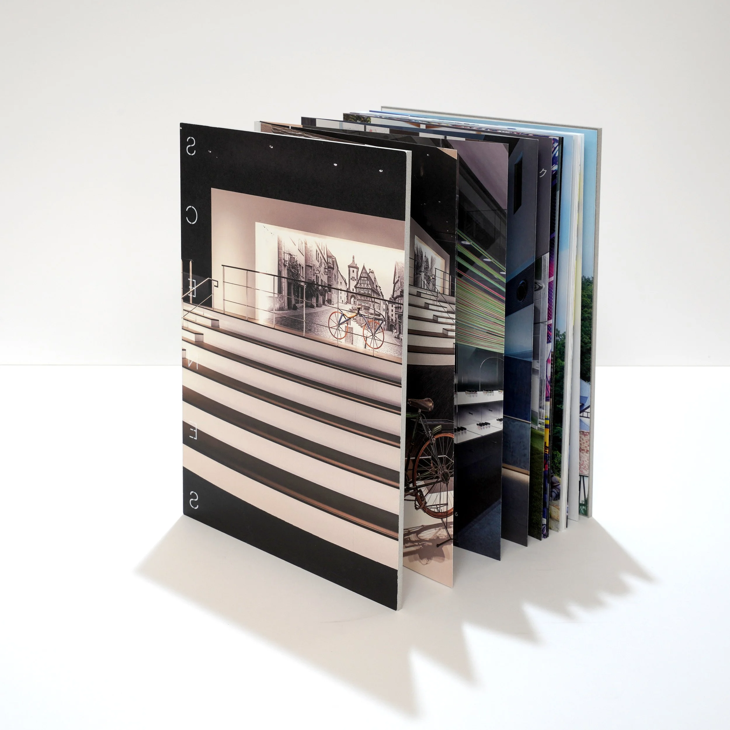 DSC00292 のコピー.jpg