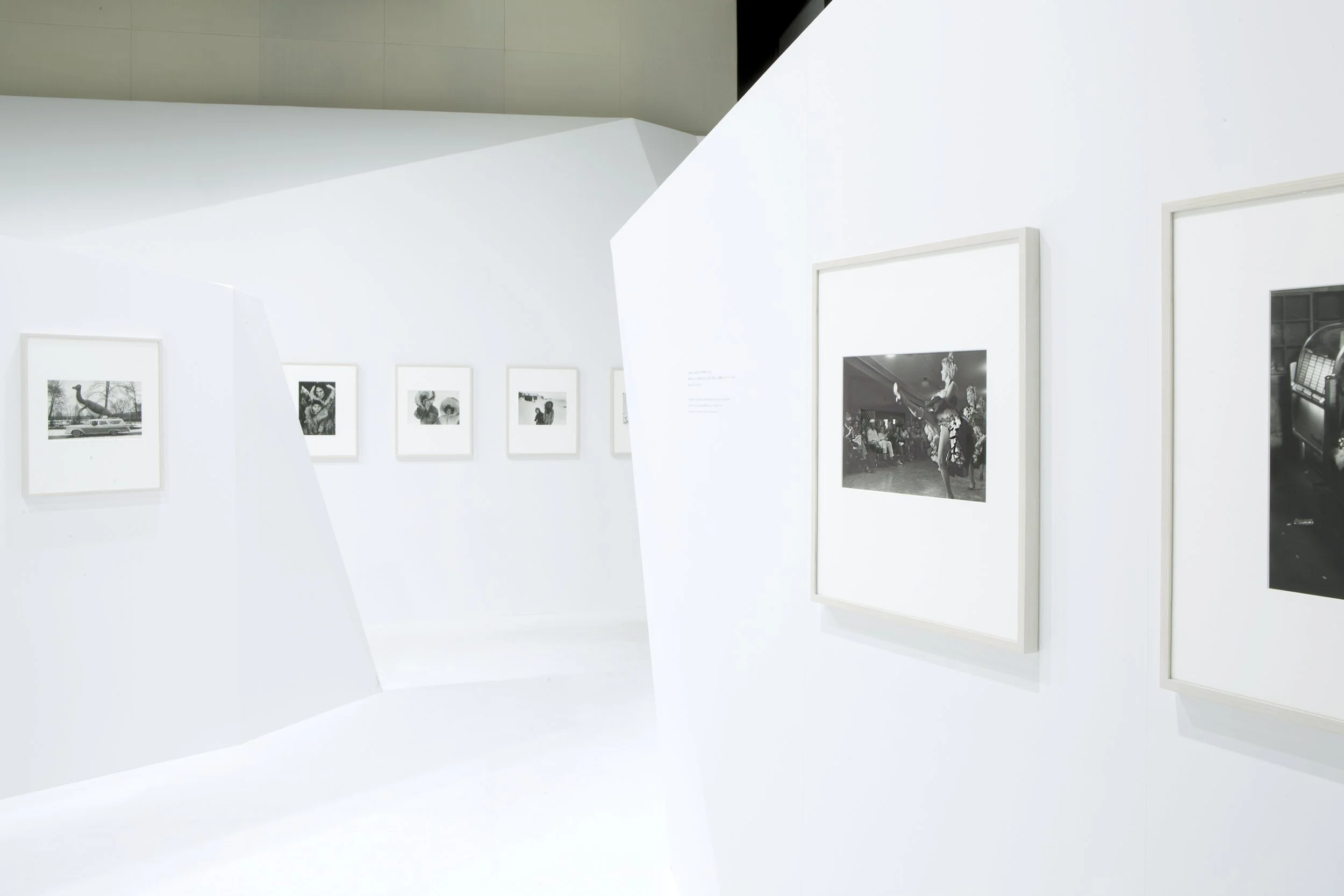 IMG_6484 のコピー.jpg