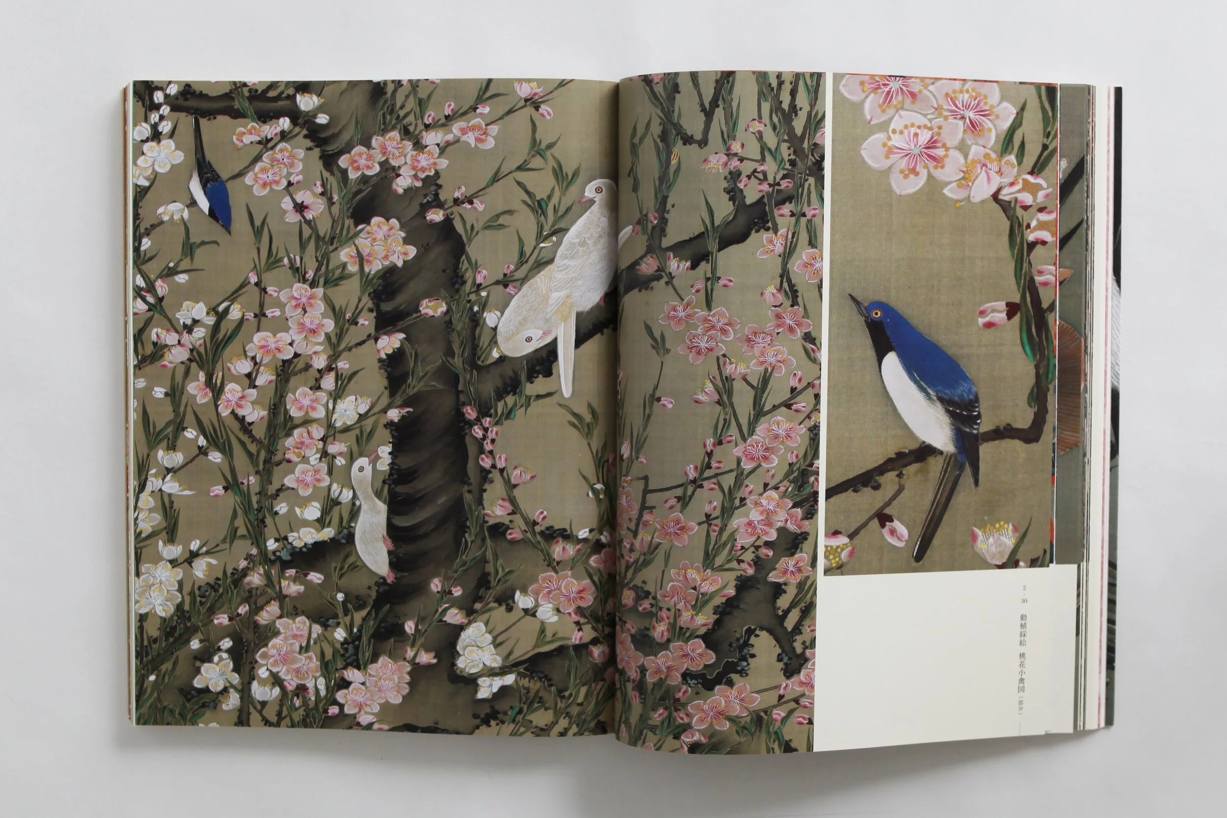 IMG_0051 のコピー.jpg