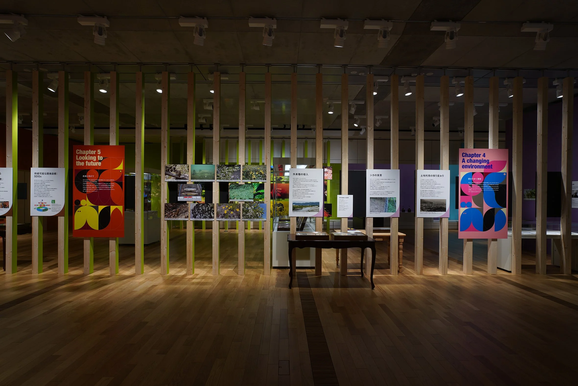 low DSC09440 のコピー.jpg