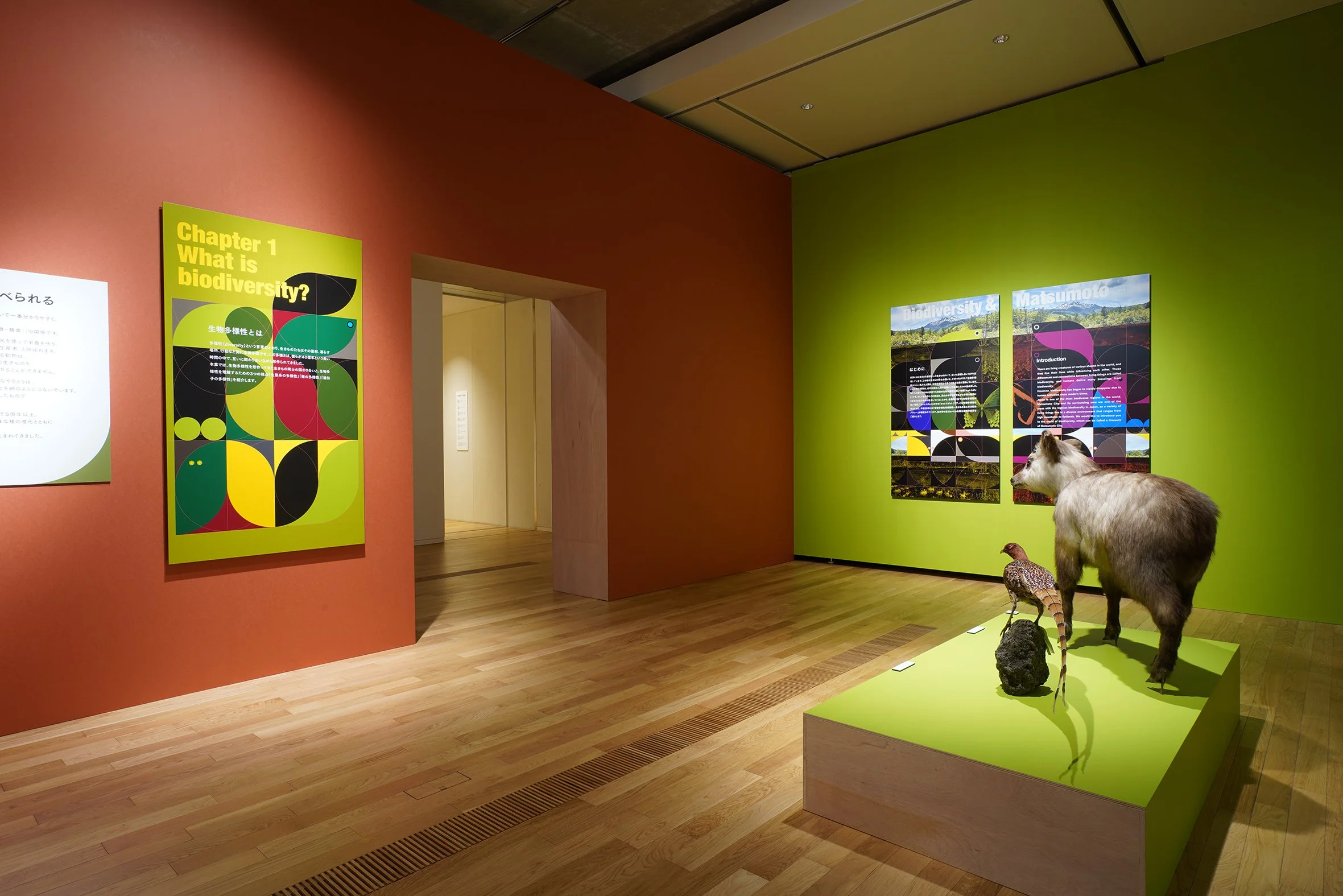 DSC09365 のコピー.jpg