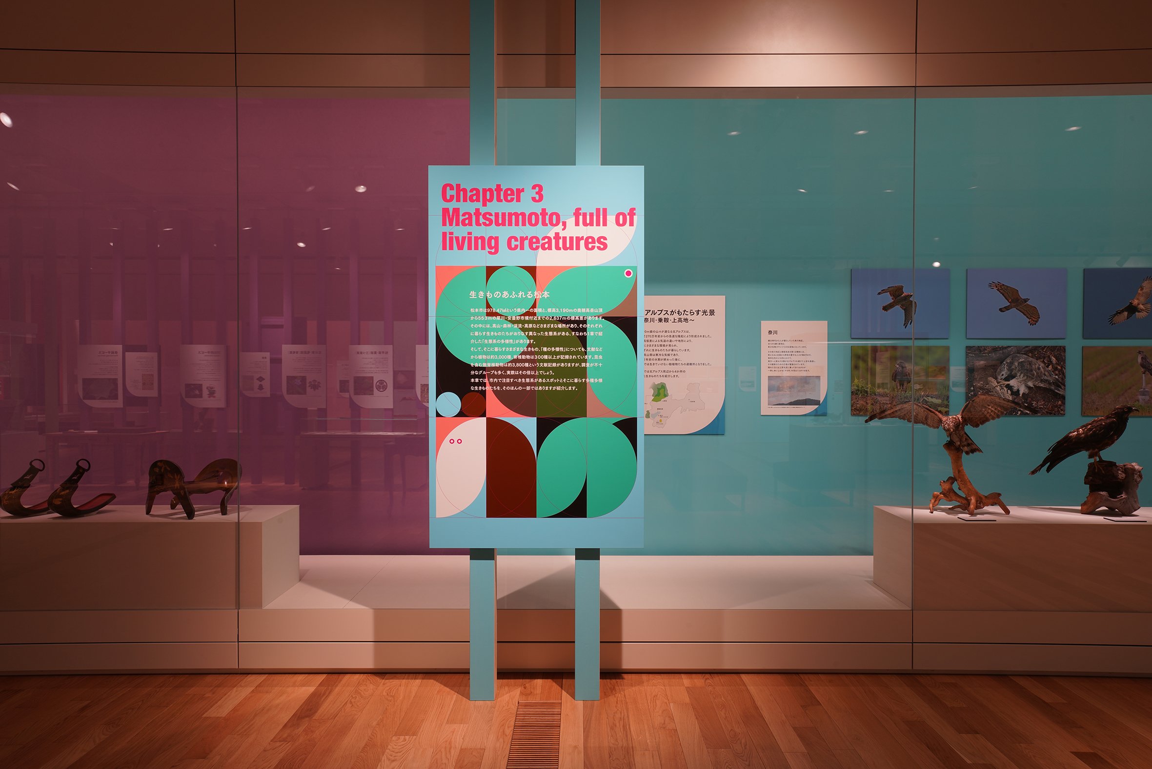 DSC09372 のコピー.jpg