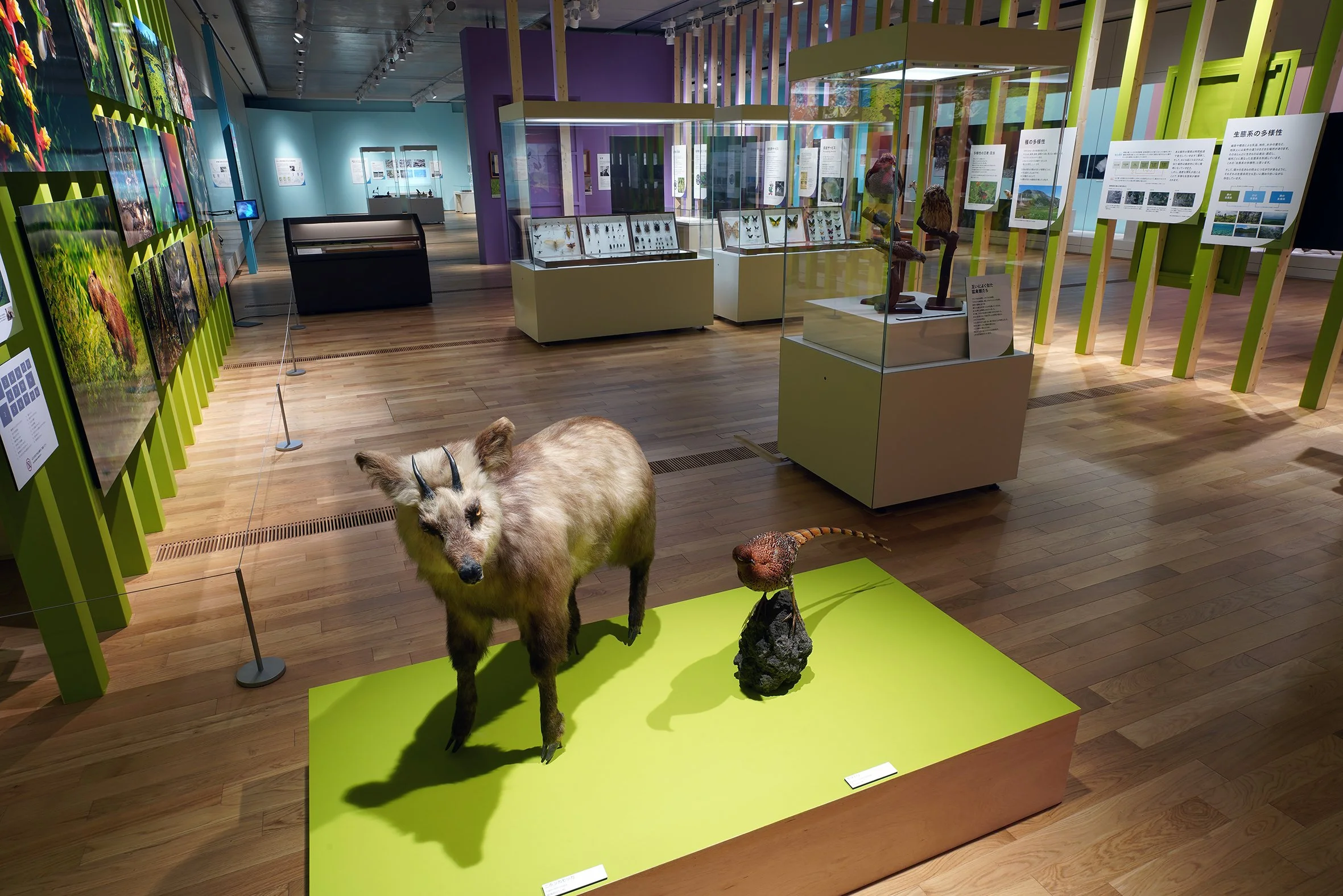 DSC09418 のコピー.jpg