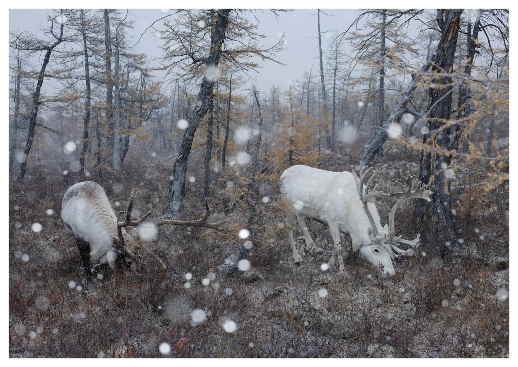 入稿　Boundary nng1313.jpg