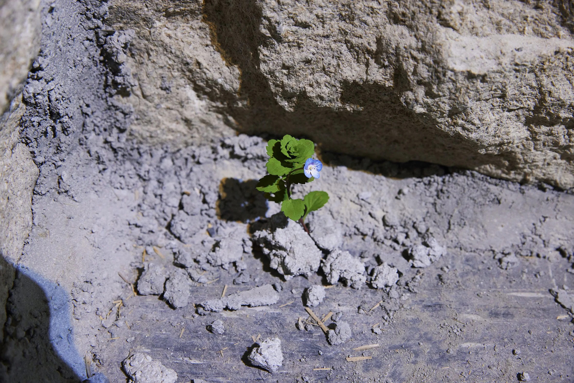 _N2A5528 のコピー.jpg