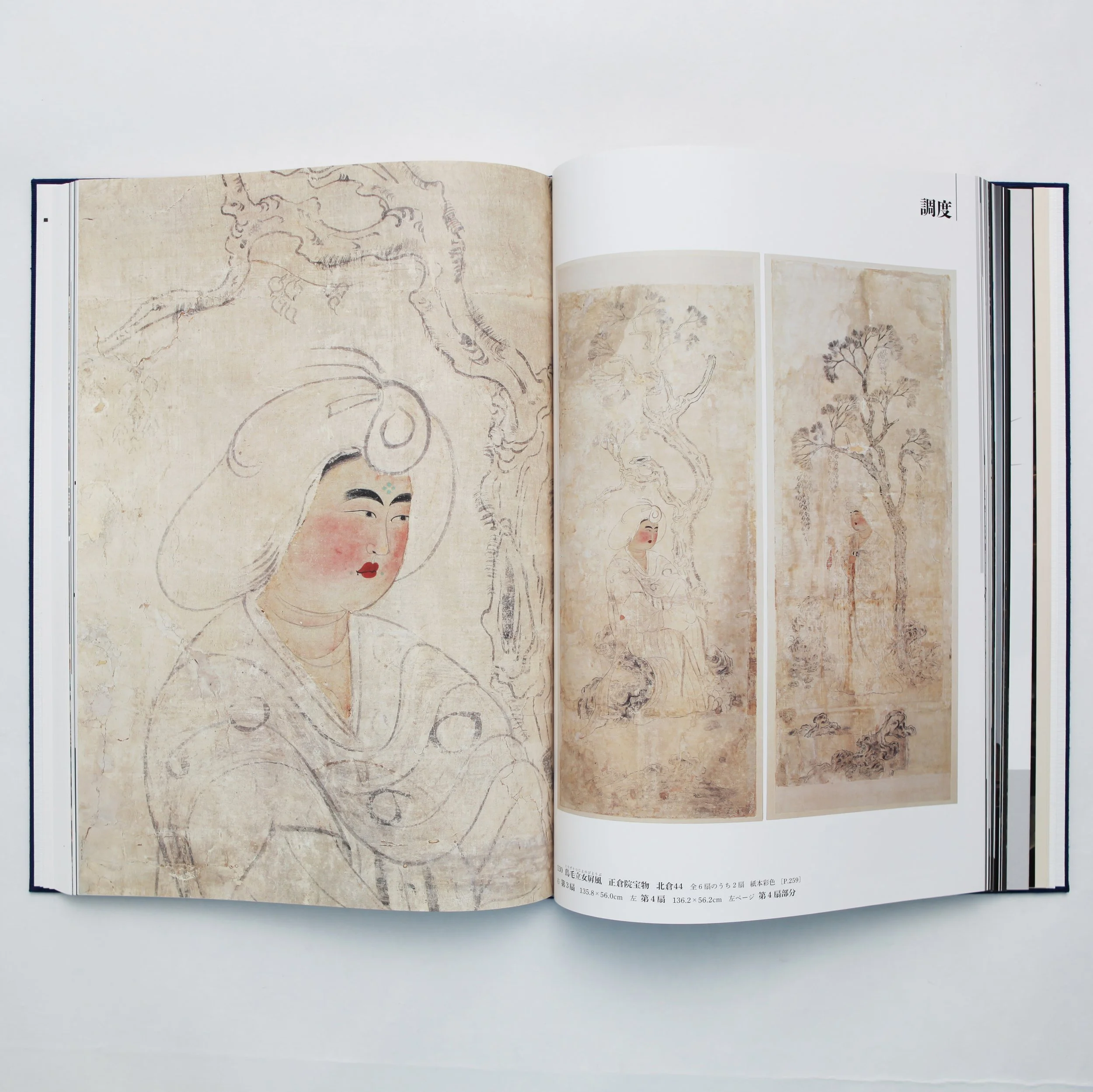 IMG_0063 のコピー.jpg