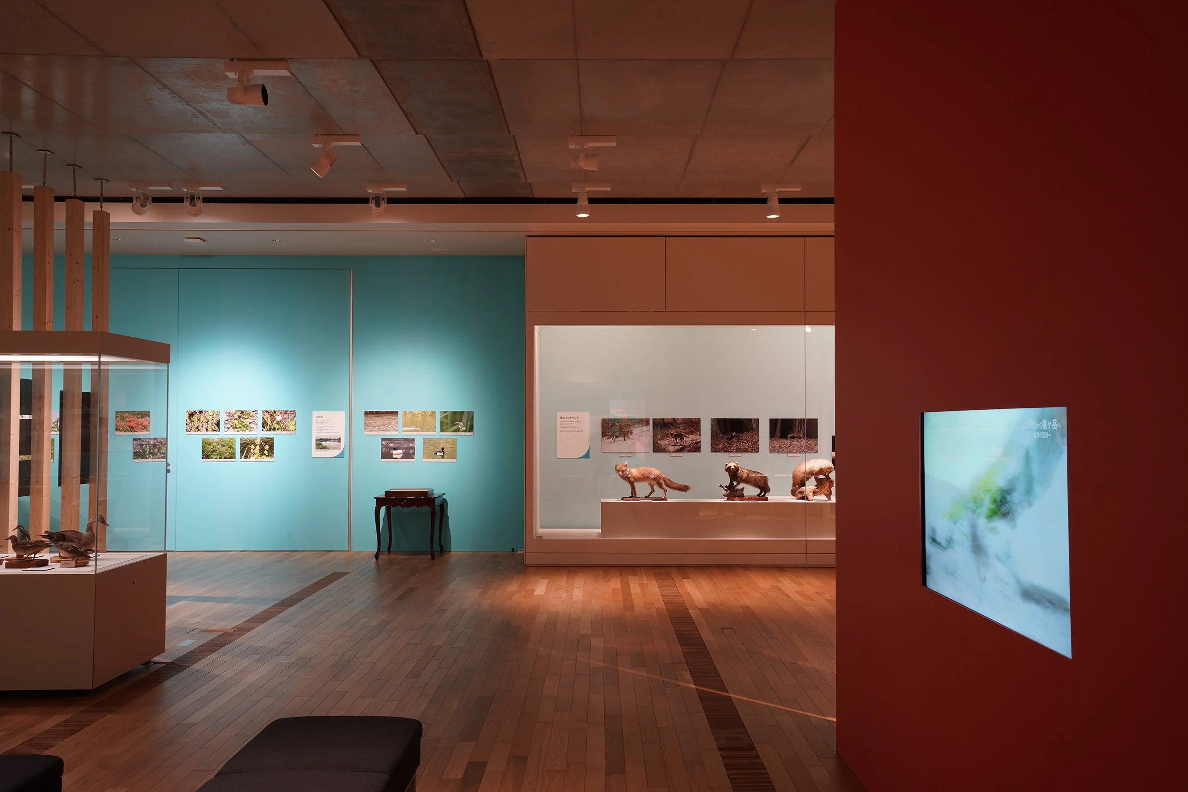 DSC09425 のコピー.jpg