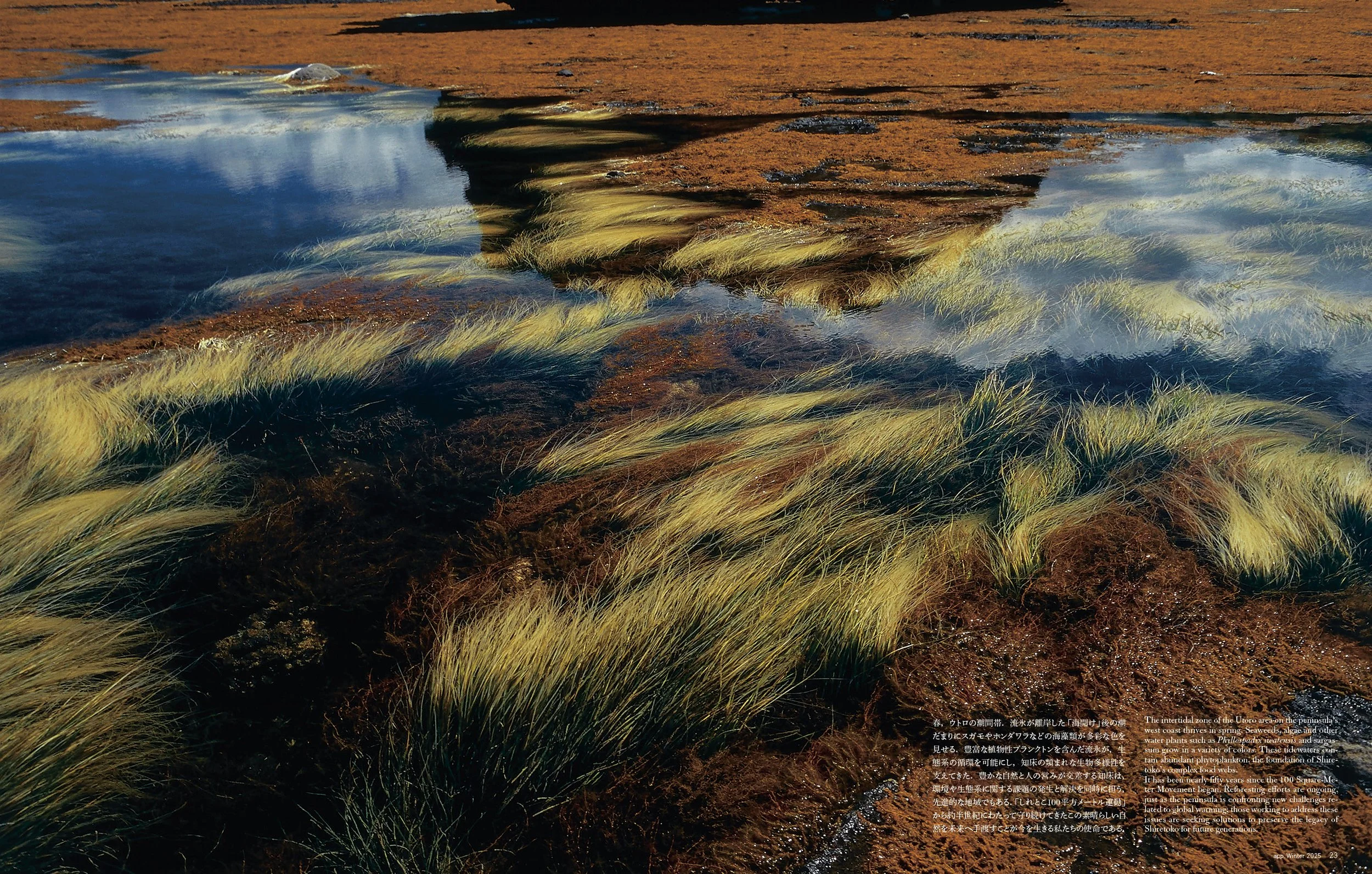 100+++A  33+osa 特集2025winter_J_1106++8.jpg