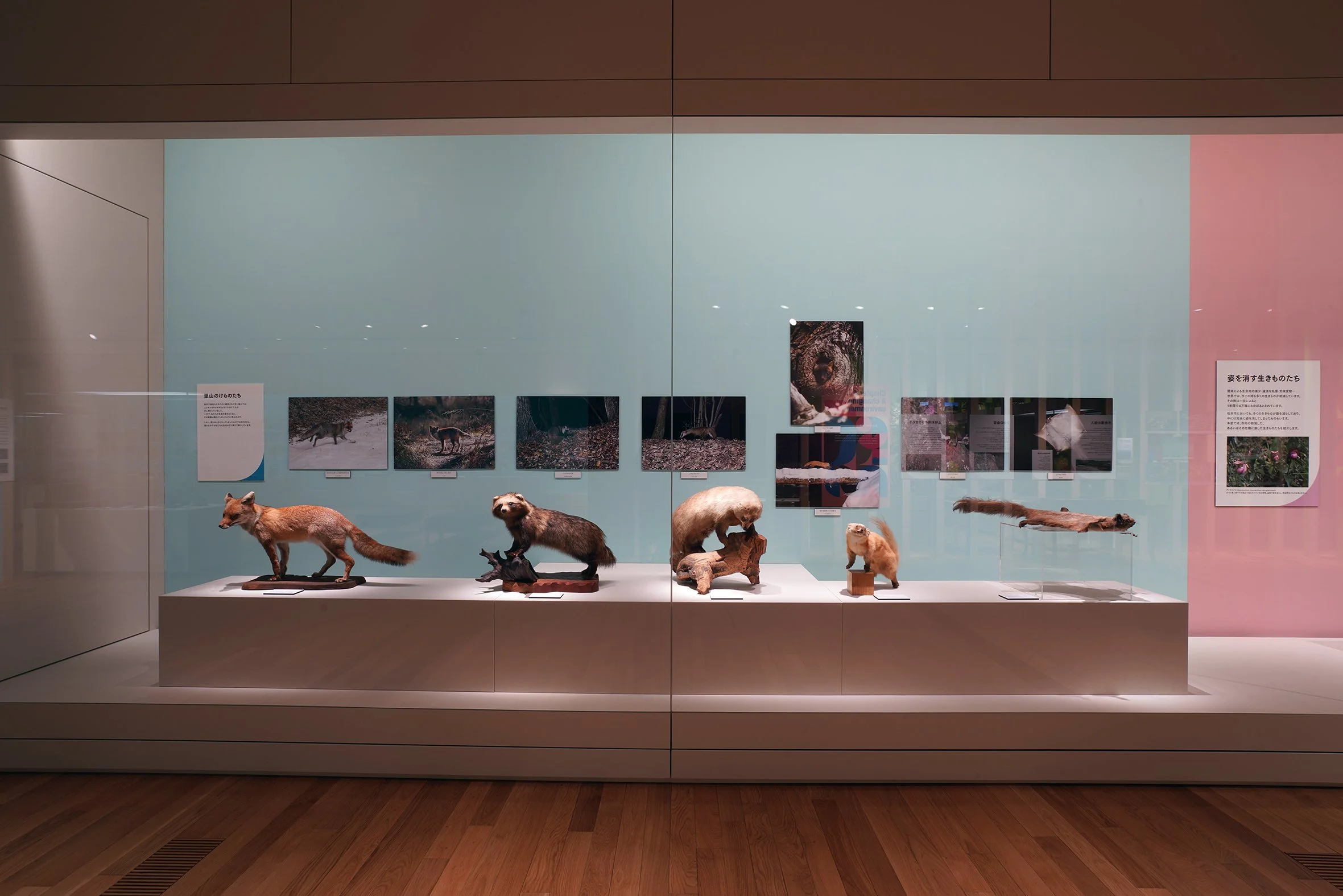 DSC09408 のコピー.jpg