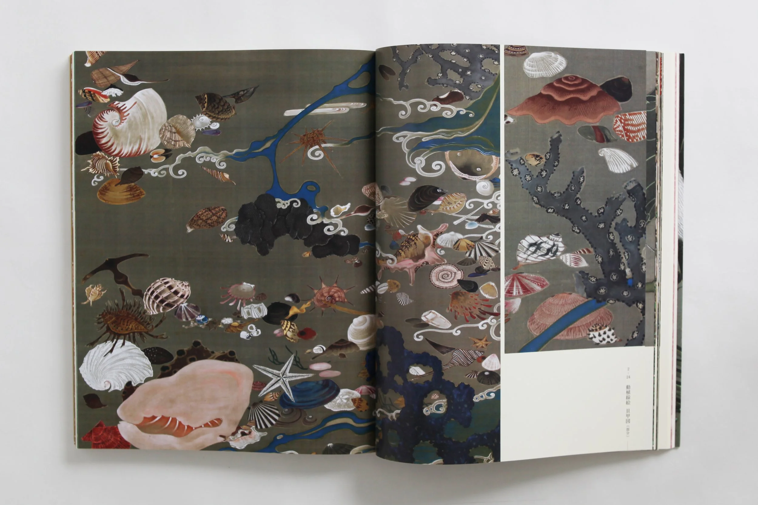 IMG_0045 のコピー.jpg