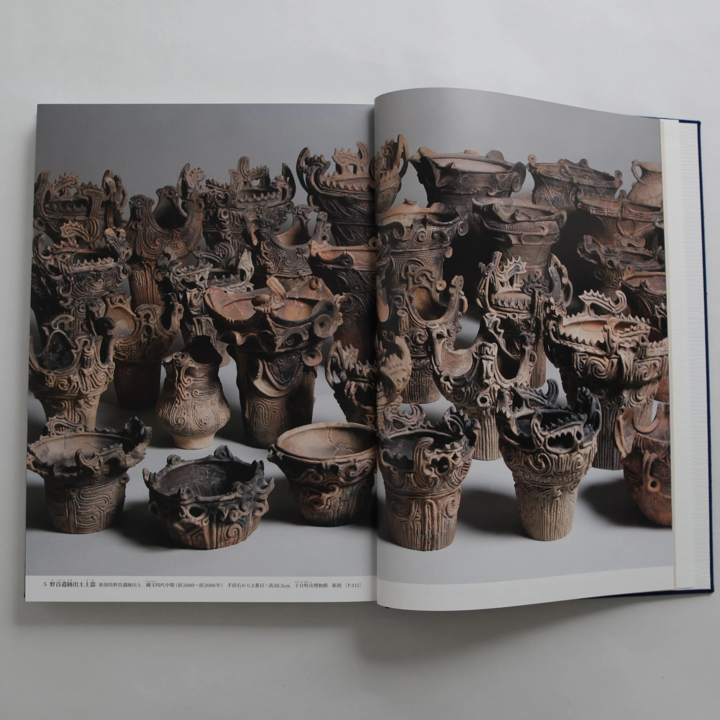 IMG_0015 のコピー.jpg