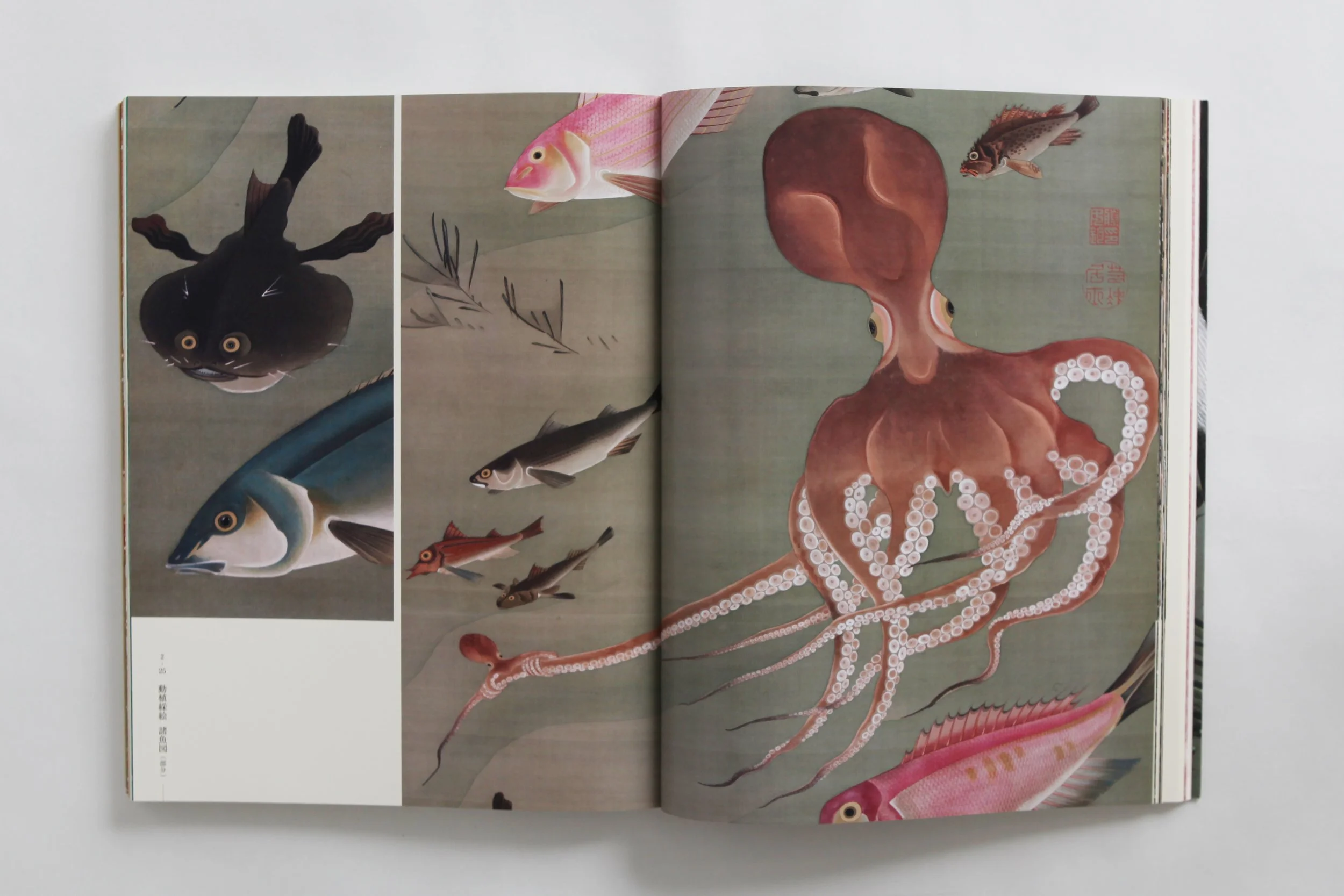 IMG_0046 のコピー.jpg