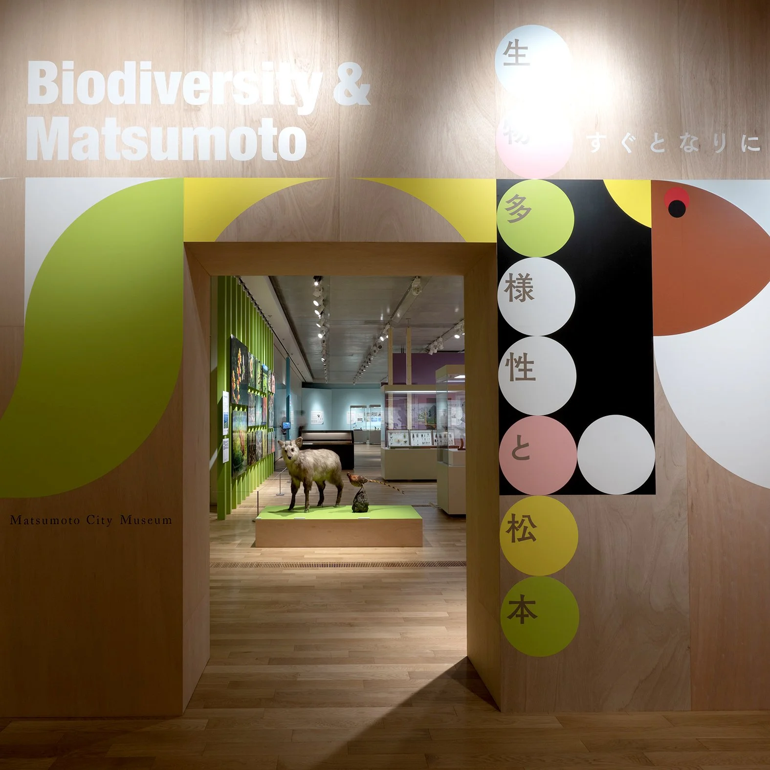 Biodiversity & Matsumoto