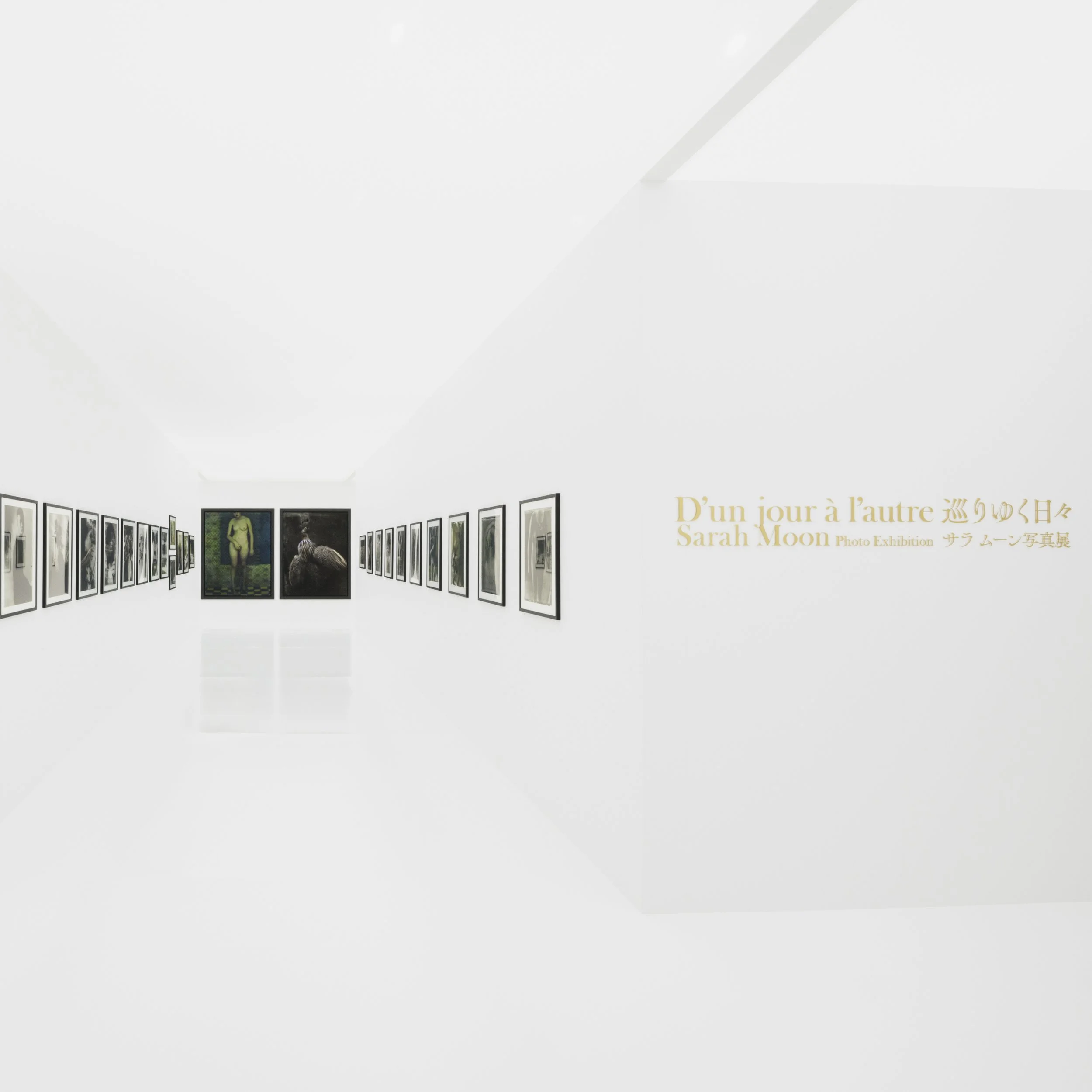 D'un jour a l'autre: Sarah Moon