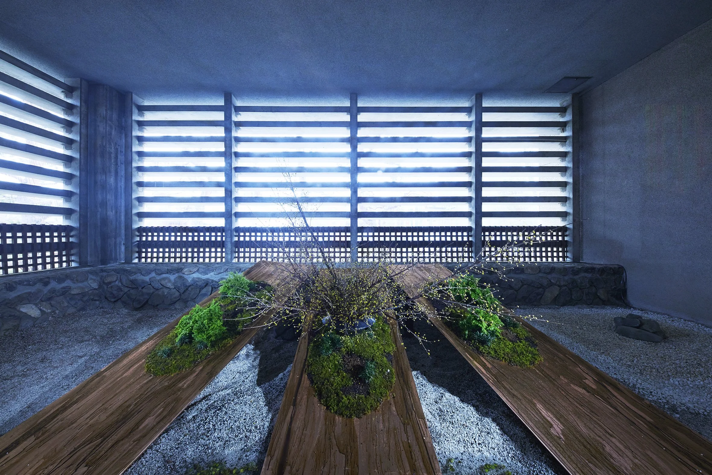 _N2A7072 のコピー.jpg