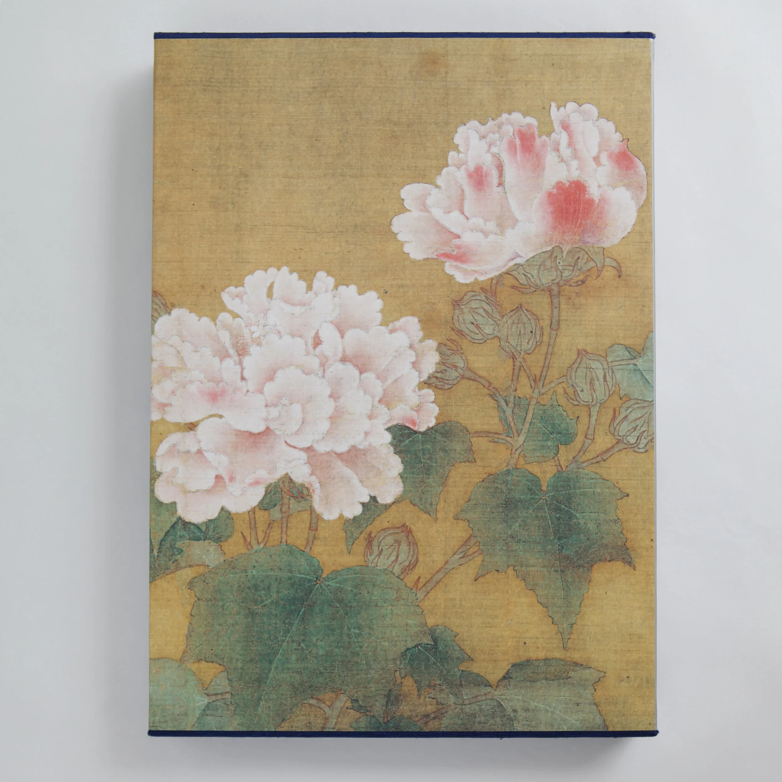 IMG_0576 のコピー.jpg