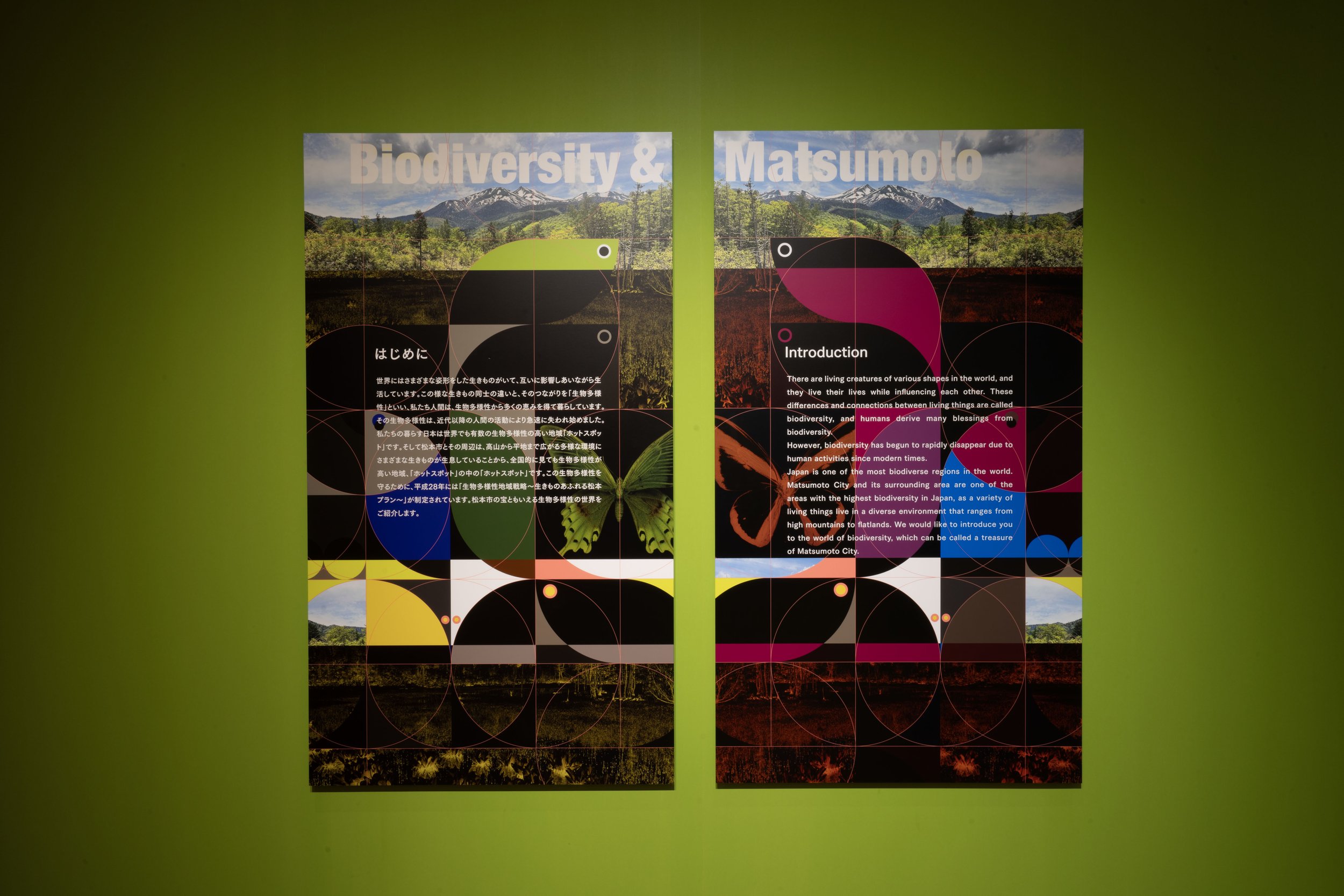 生5 のコピー.jpg