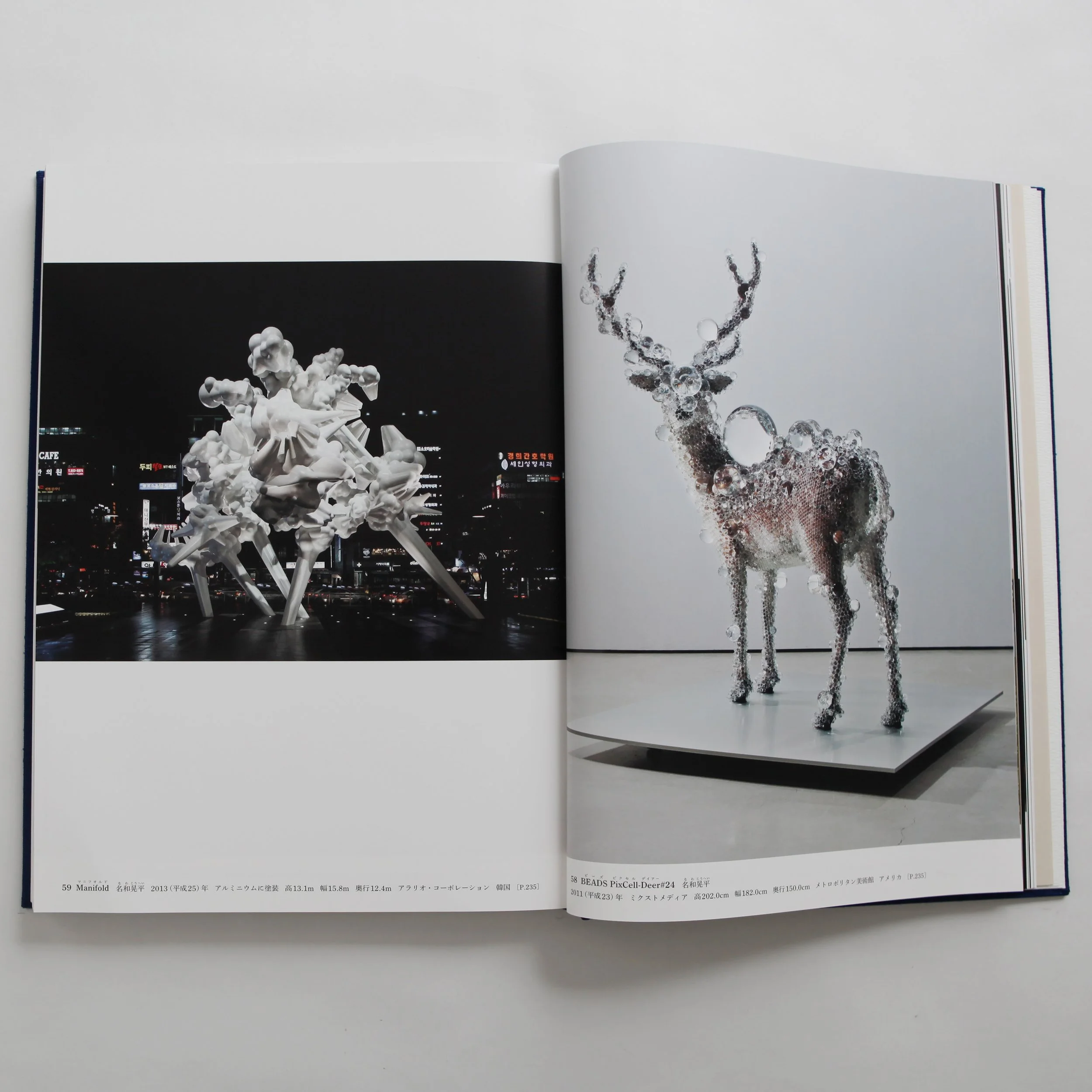 IMG_0436 のコピー.jpg