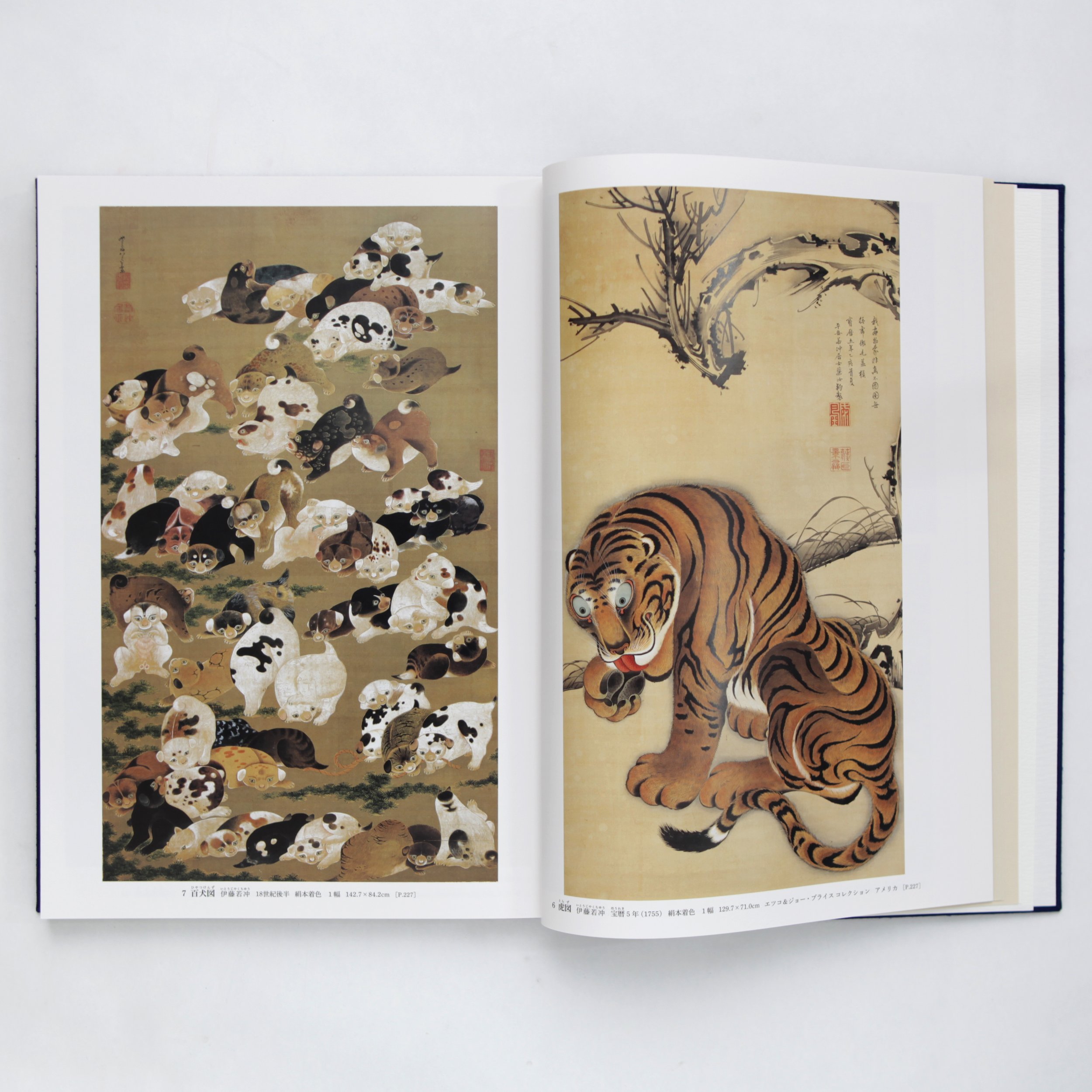 IMG_1436 のコピー.jpg