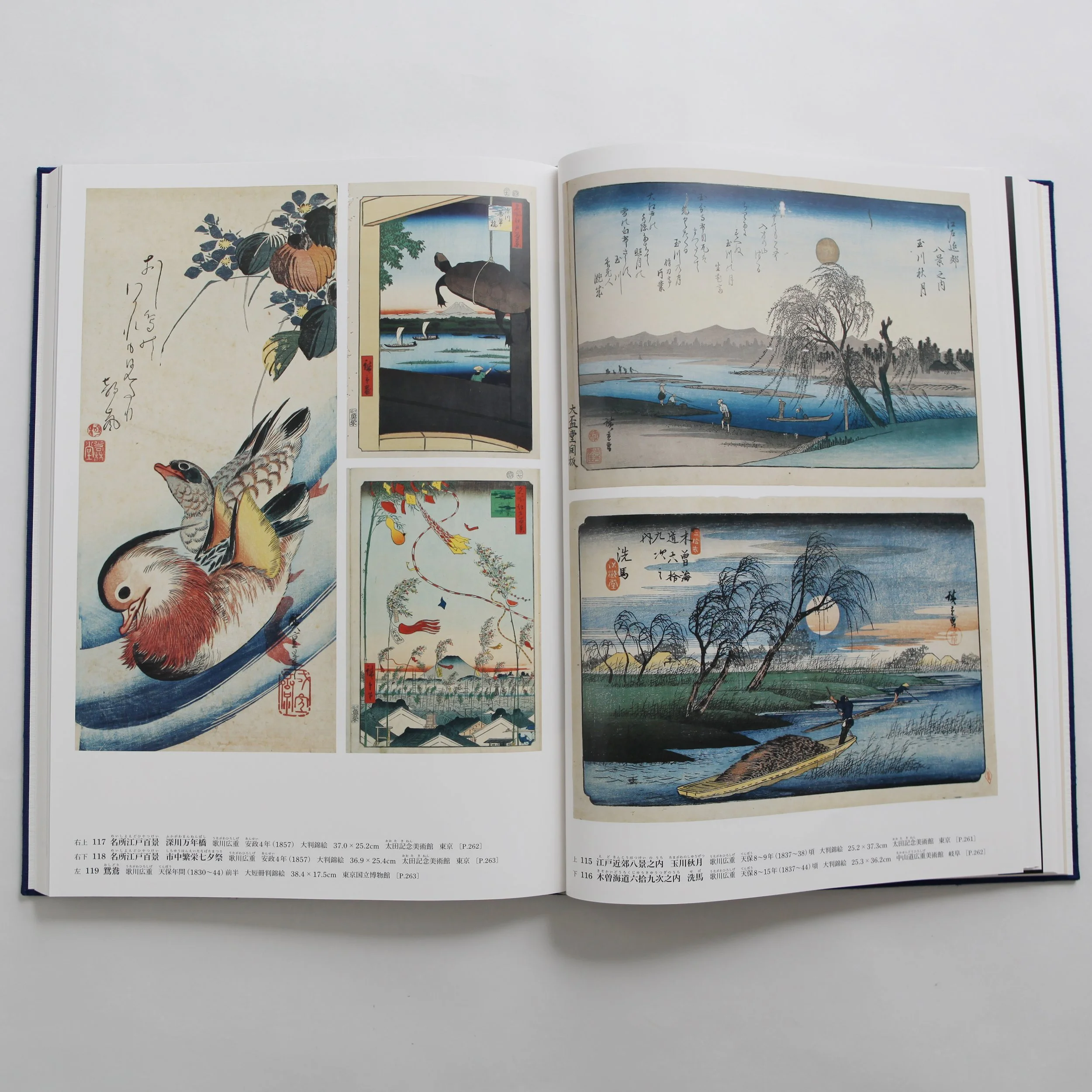 IMG_0192 のコピー.jpg