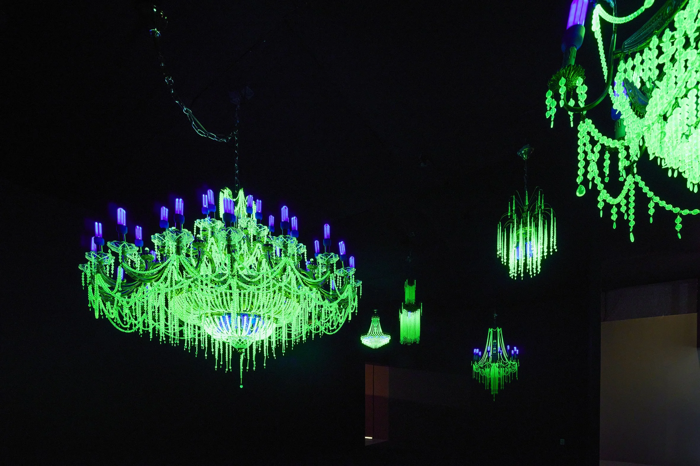 _N2A6590 のコピー.jpg