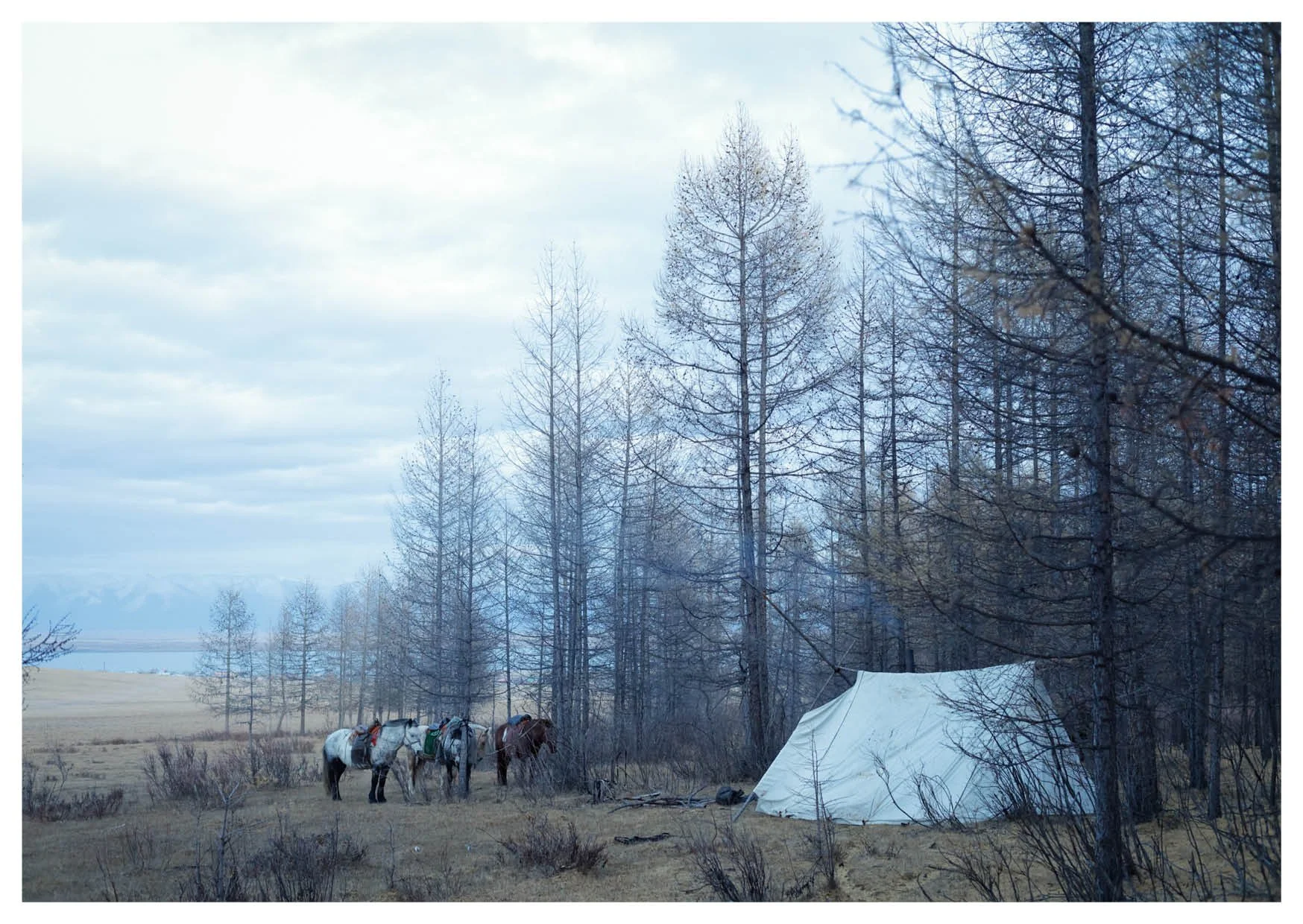 入稿　Boundary nng1312.jpg