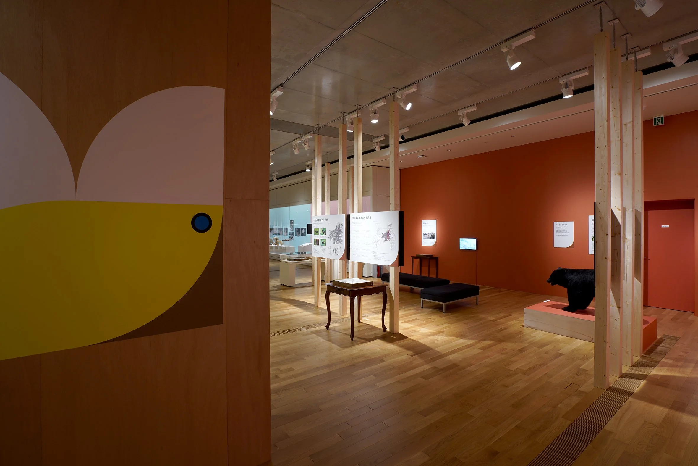 DSC09447 のコピー.jpg