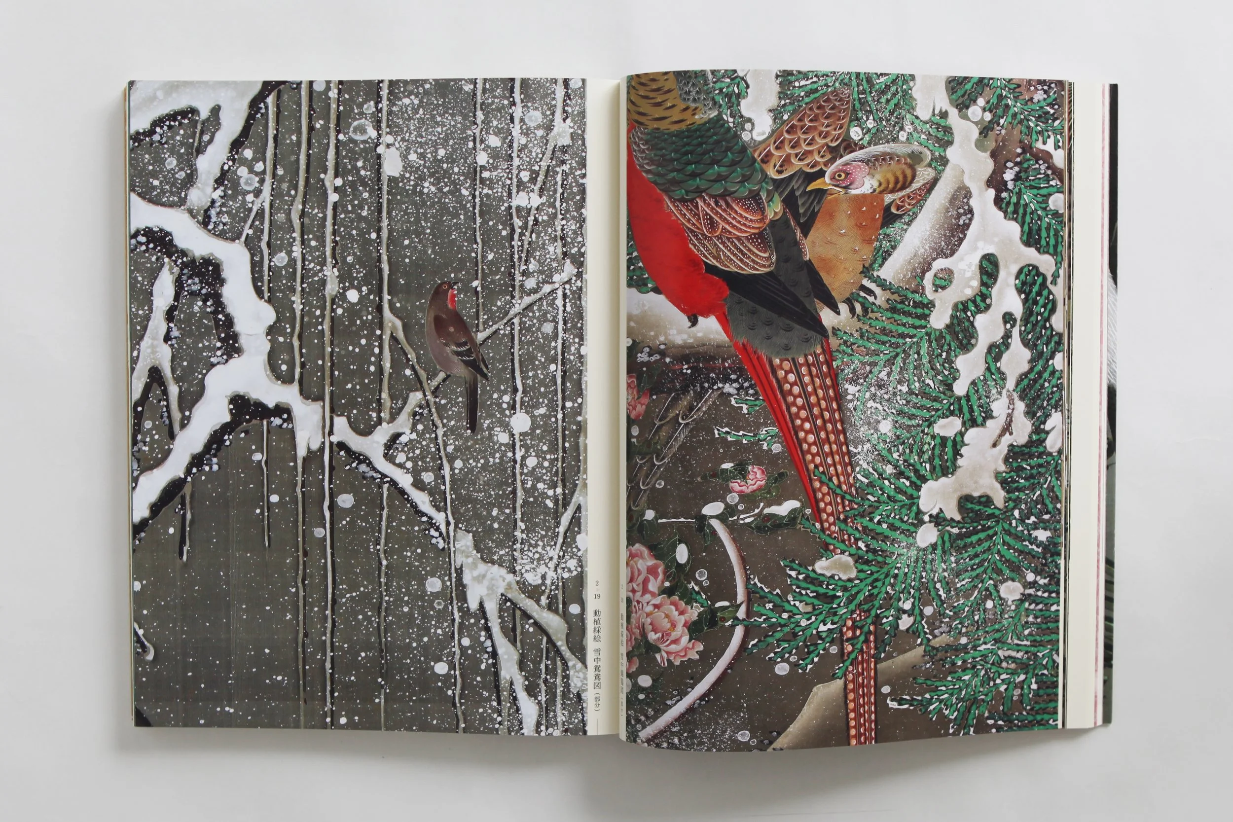 IMG_0042 のコピー.jpg