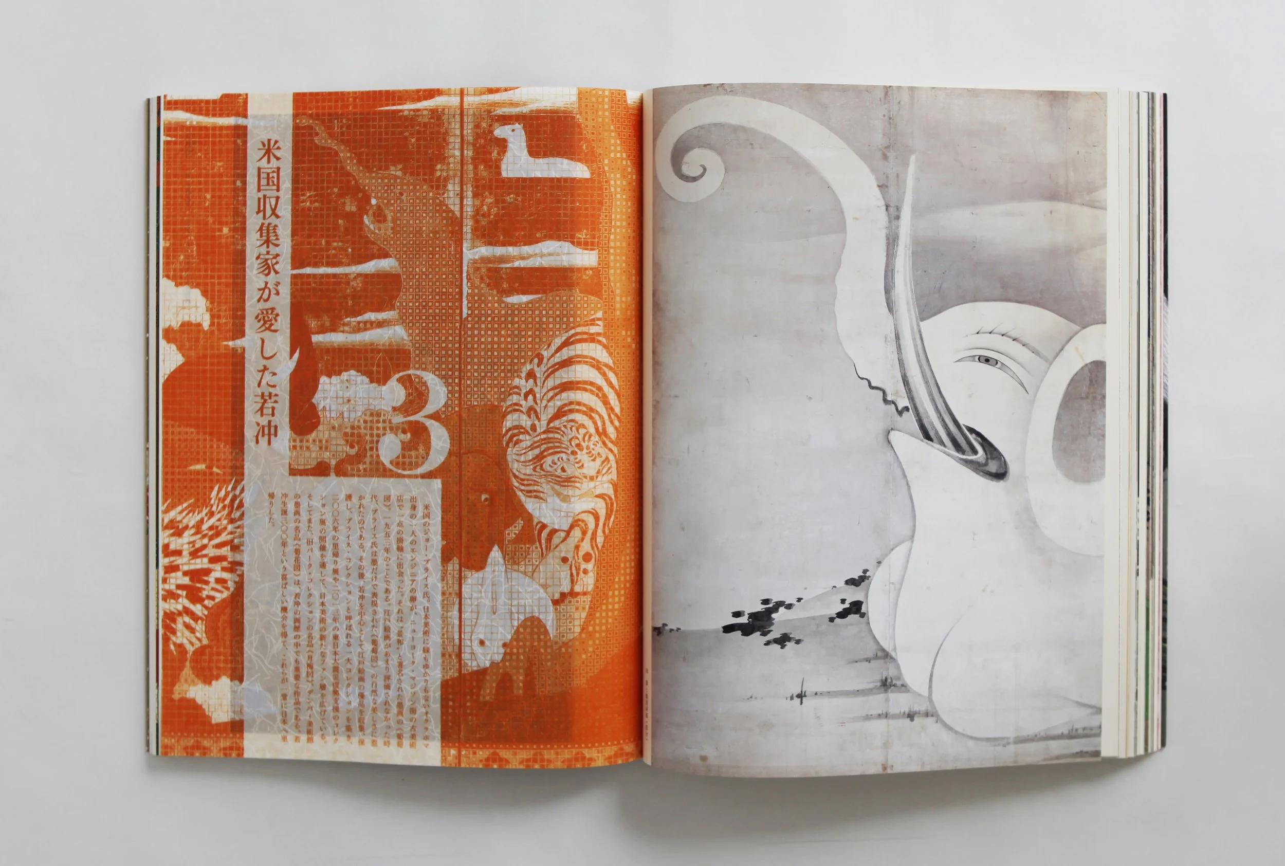 IMG_0096 のコピー.jpg