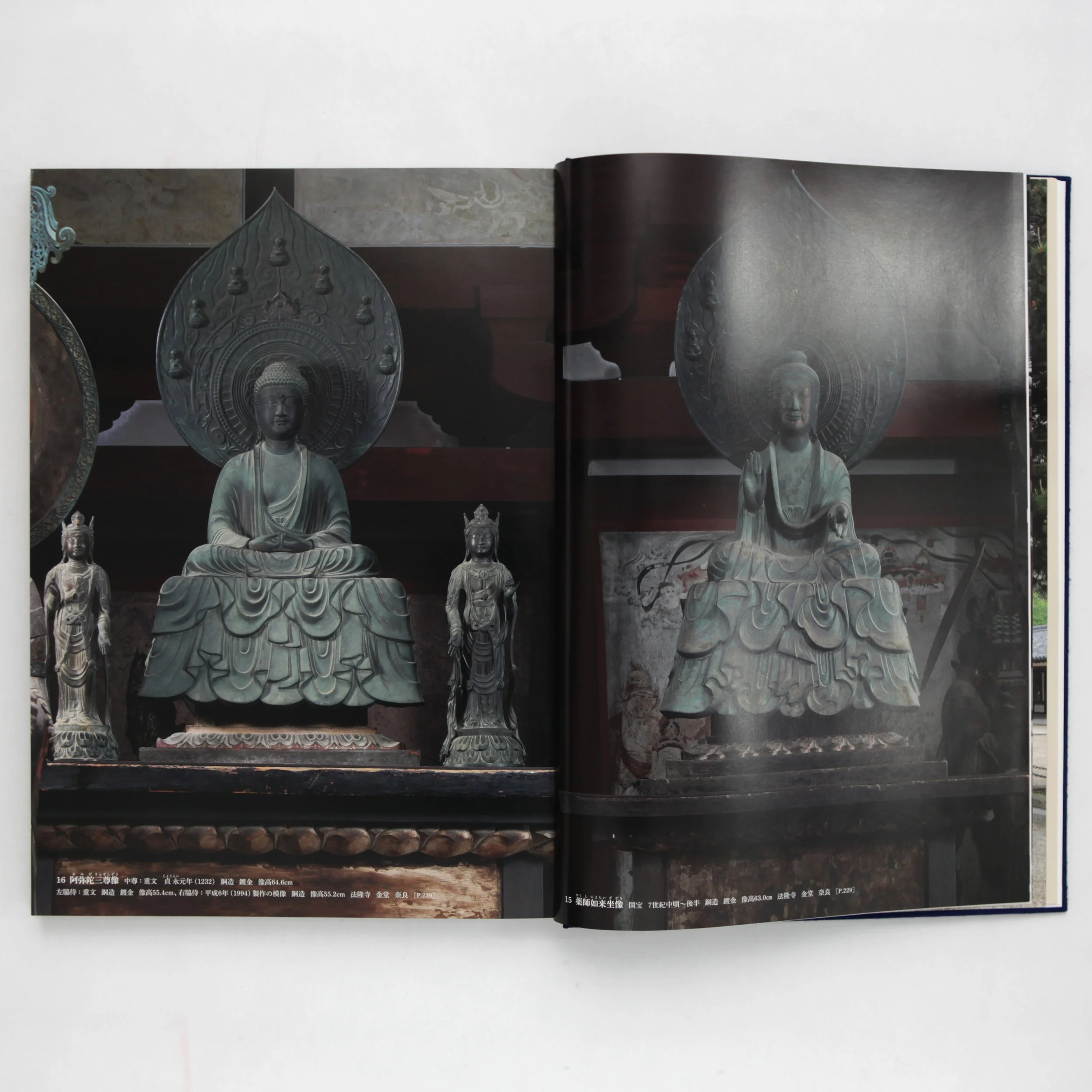 IMG_1412 のコピー.jpg