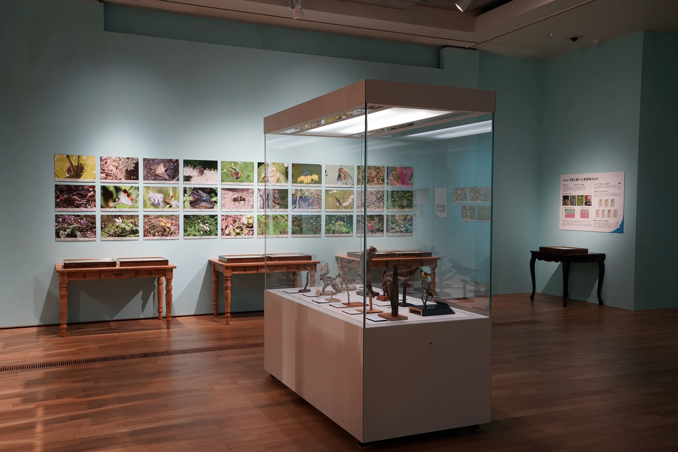 DSC09434 のコピー.jpg