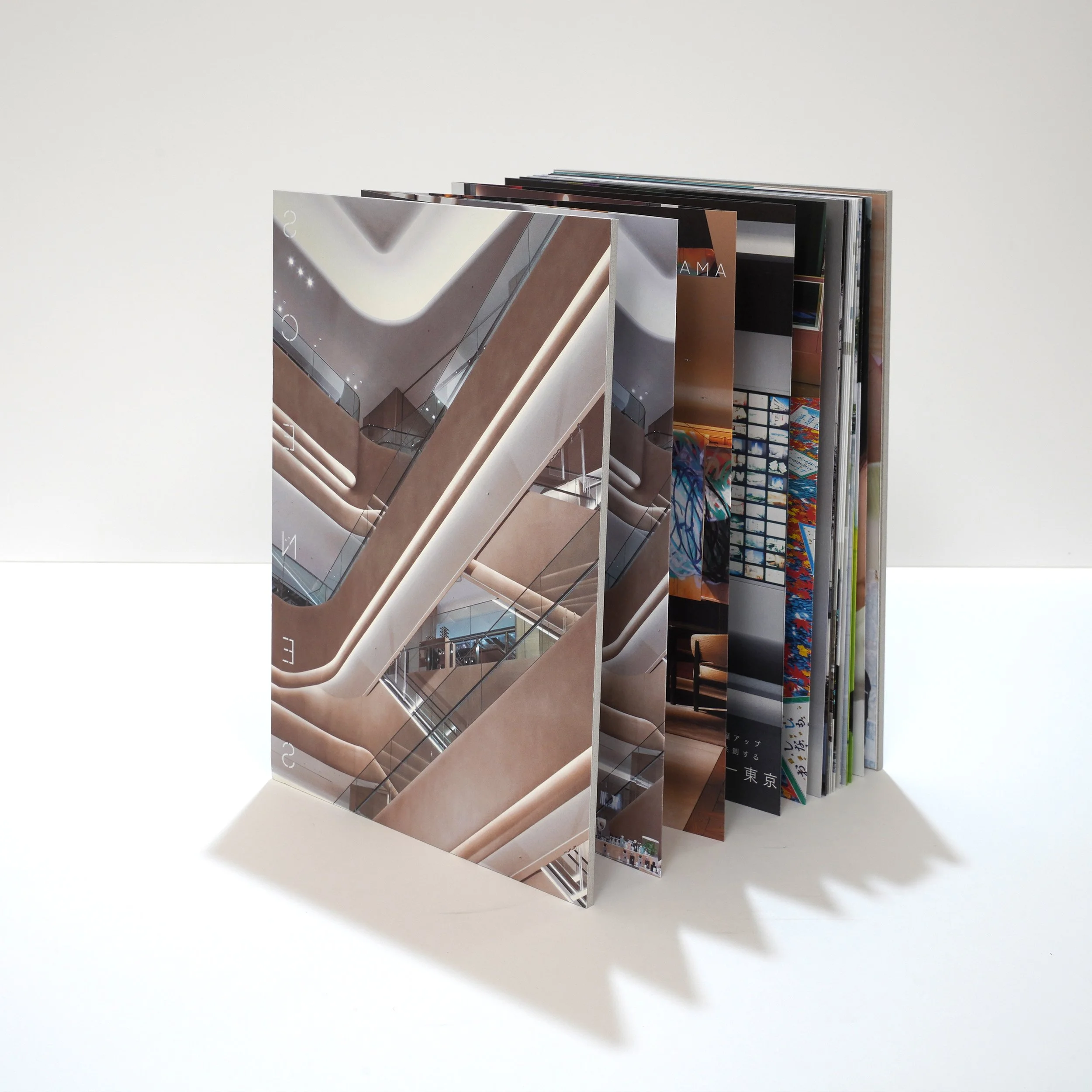 DSC00295 のコピー.jpg