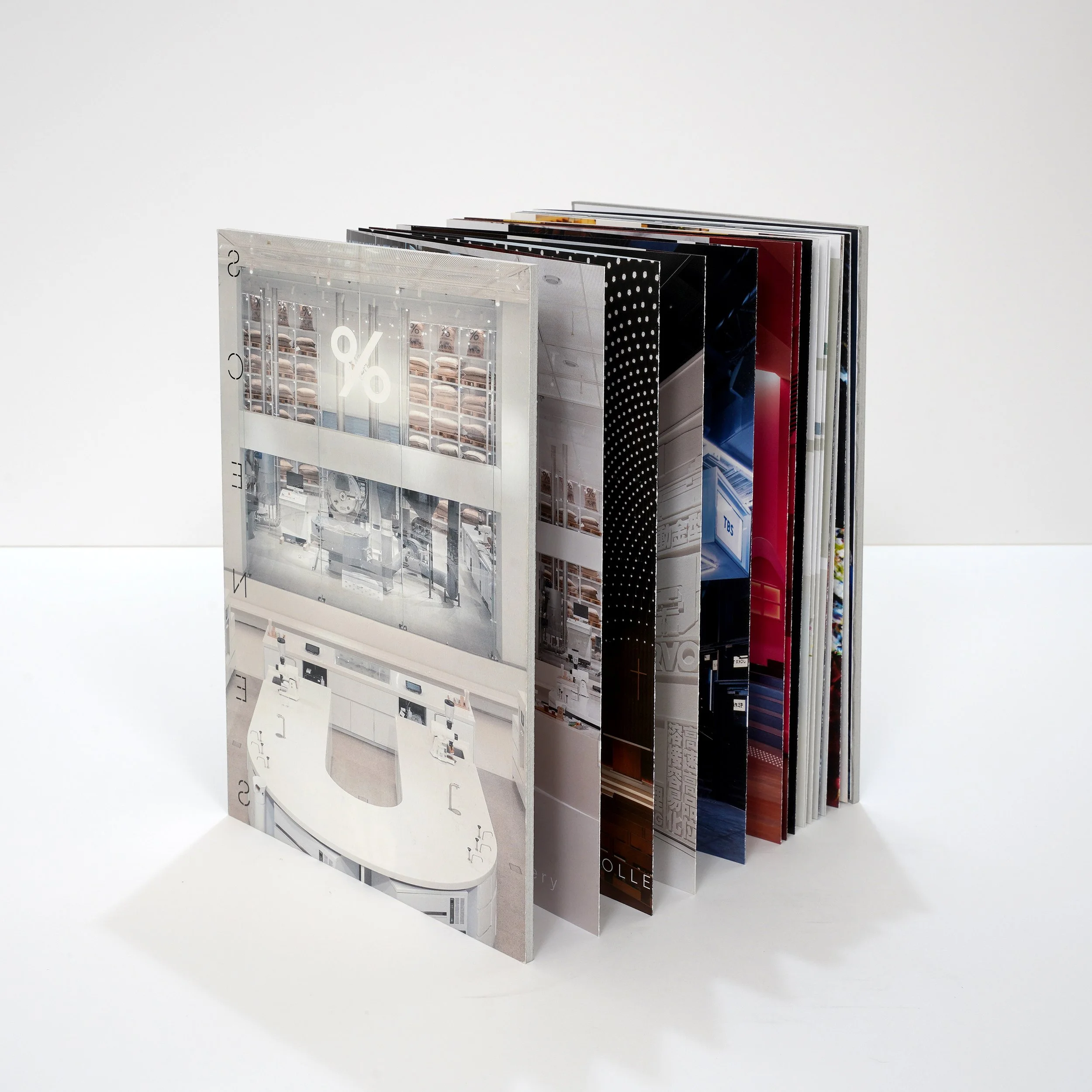 222　DSC00310 のコピー.jpg