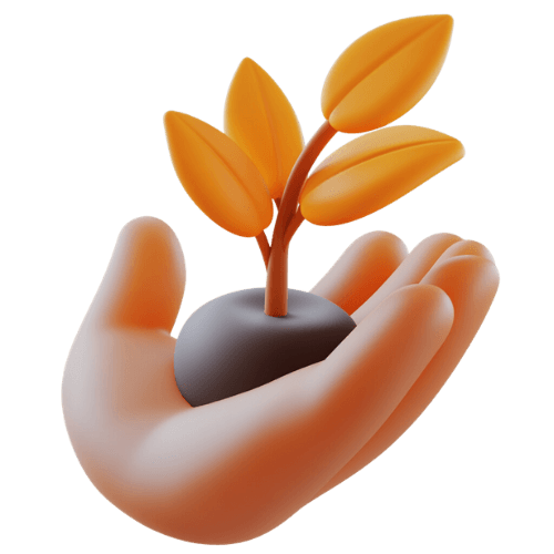 Eine offene Hand, die eine kleine Pflanze mit Wurzelballen hält