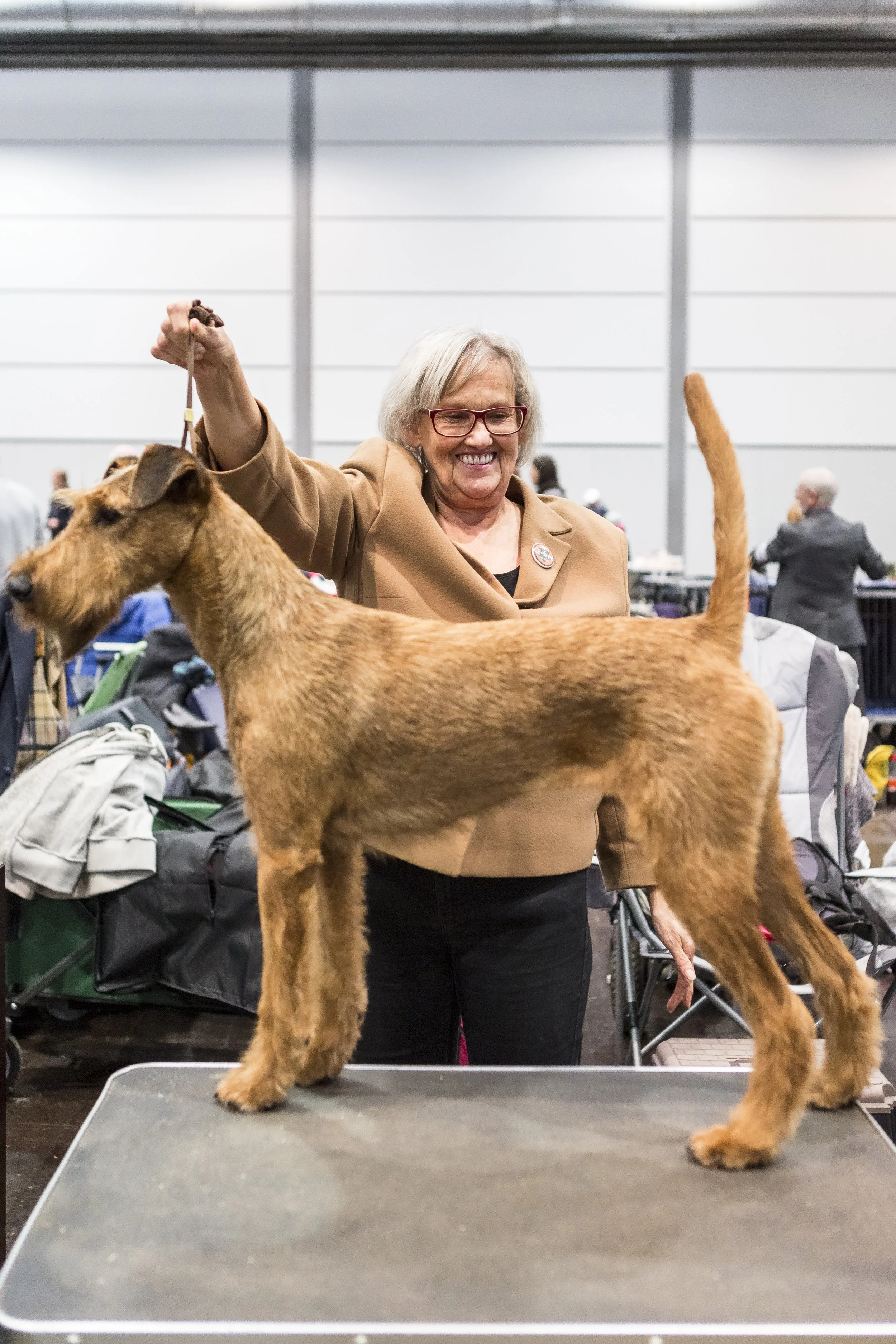 Melber_171111_Hundeausstellung-004.jpg