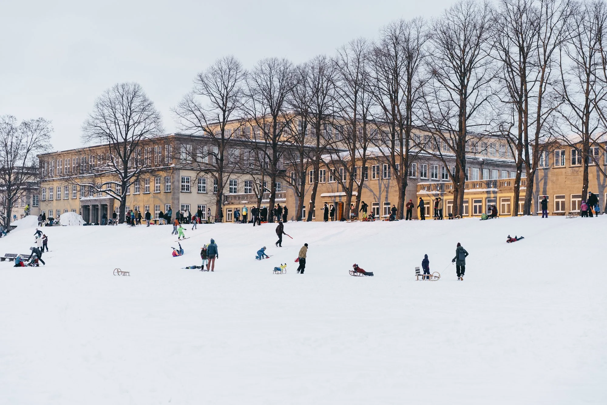 Melber_210211__Schleipzig_04.jpg