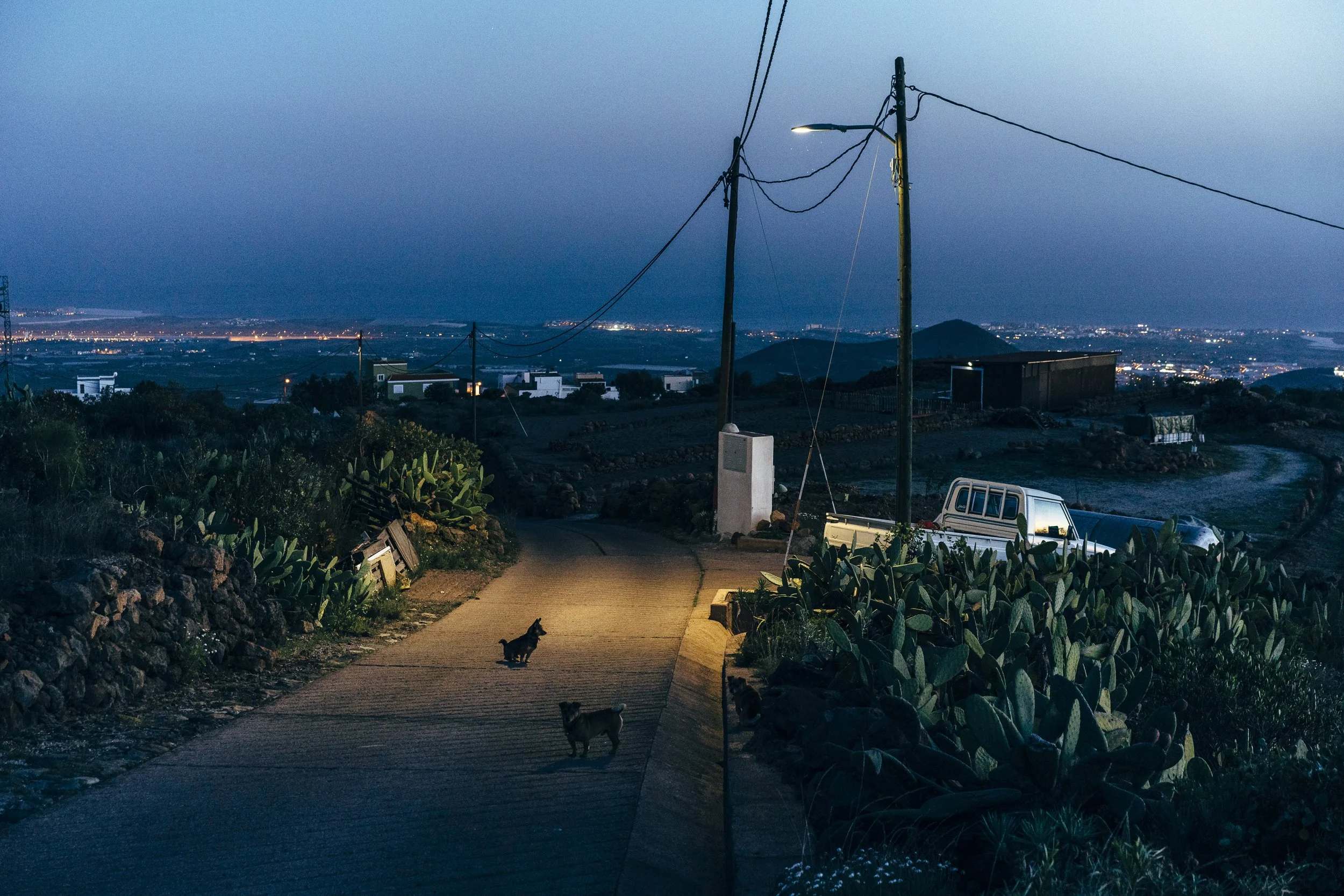 Melber_220216_Teneriffa_DSC9473_HighRes.jpg